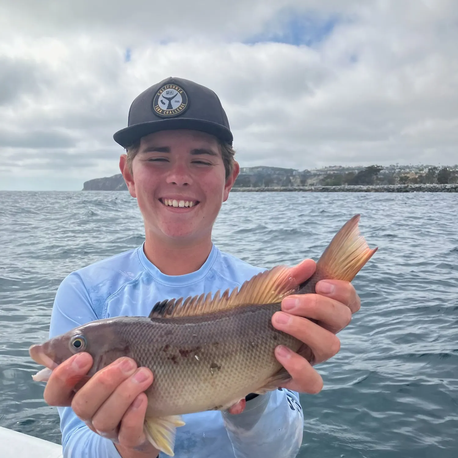 The most recent California sheephead catches on Fishbrain