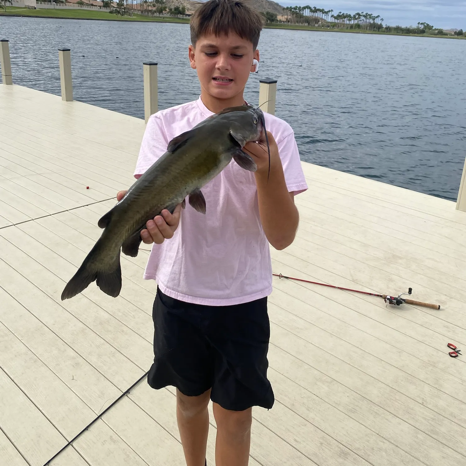 Channel catfish caught on Fishbrain