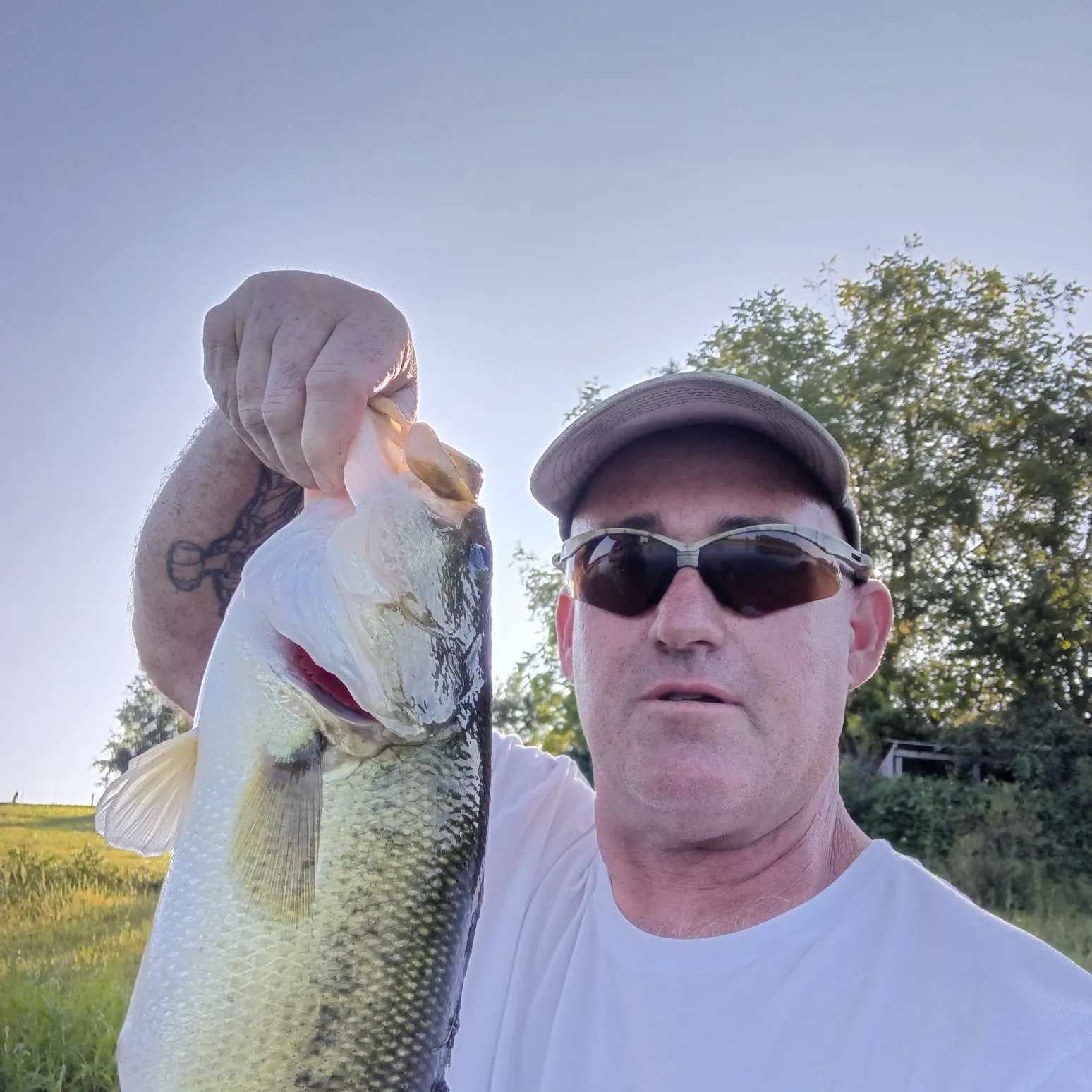 Largemouth bass caught on Fishbrain