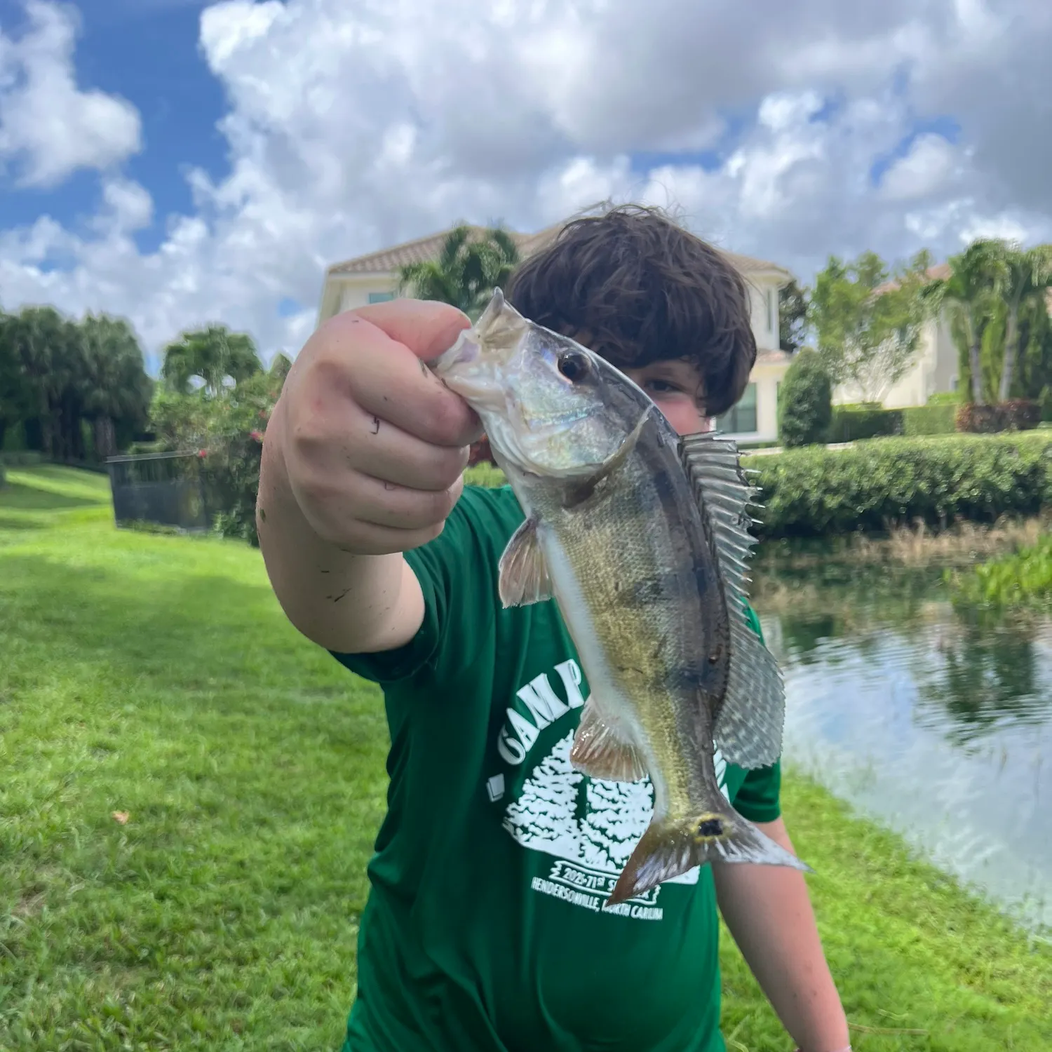 The most recent Swordfish catches on Fishbrain