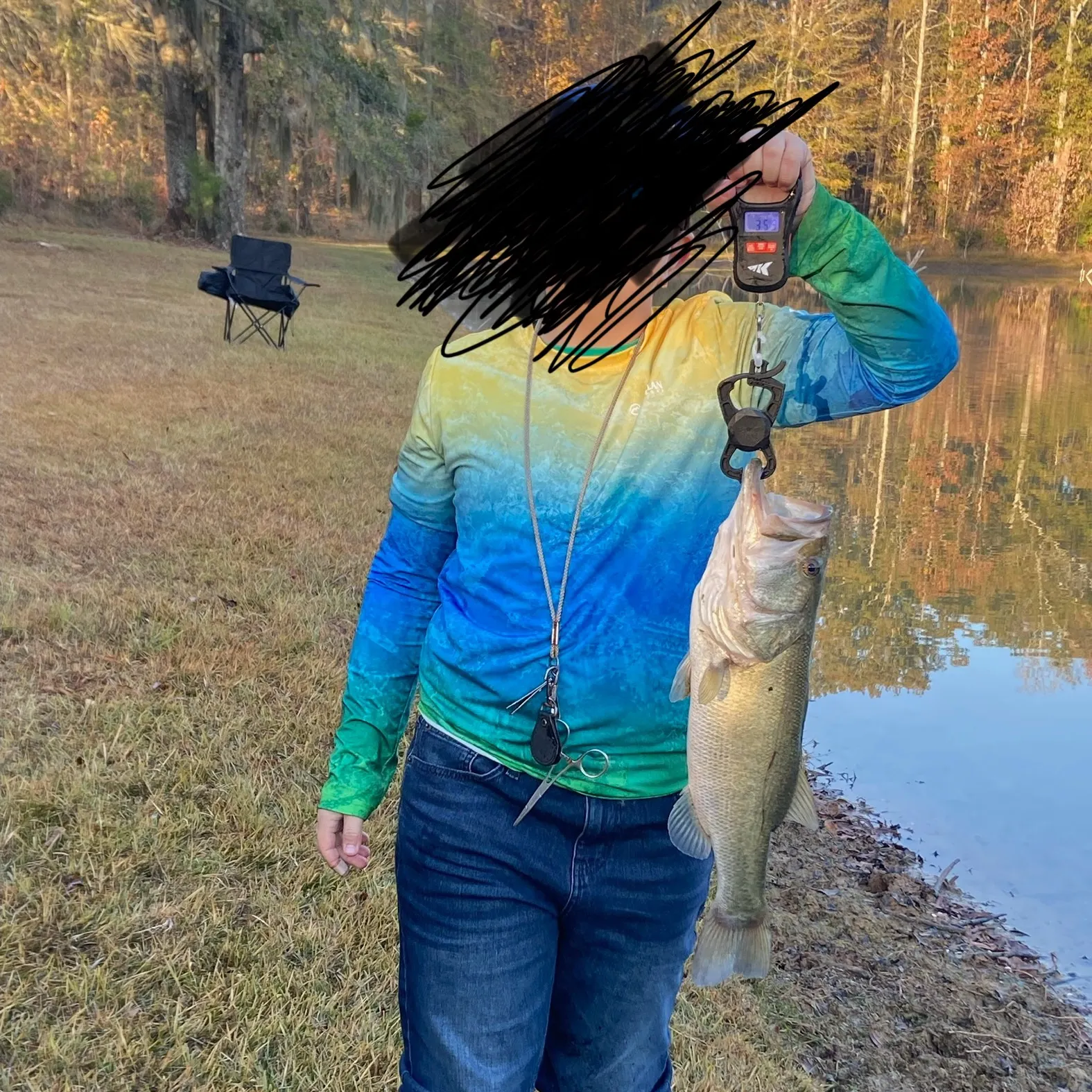 The most recent Largemouth bass catches on Fishbrain