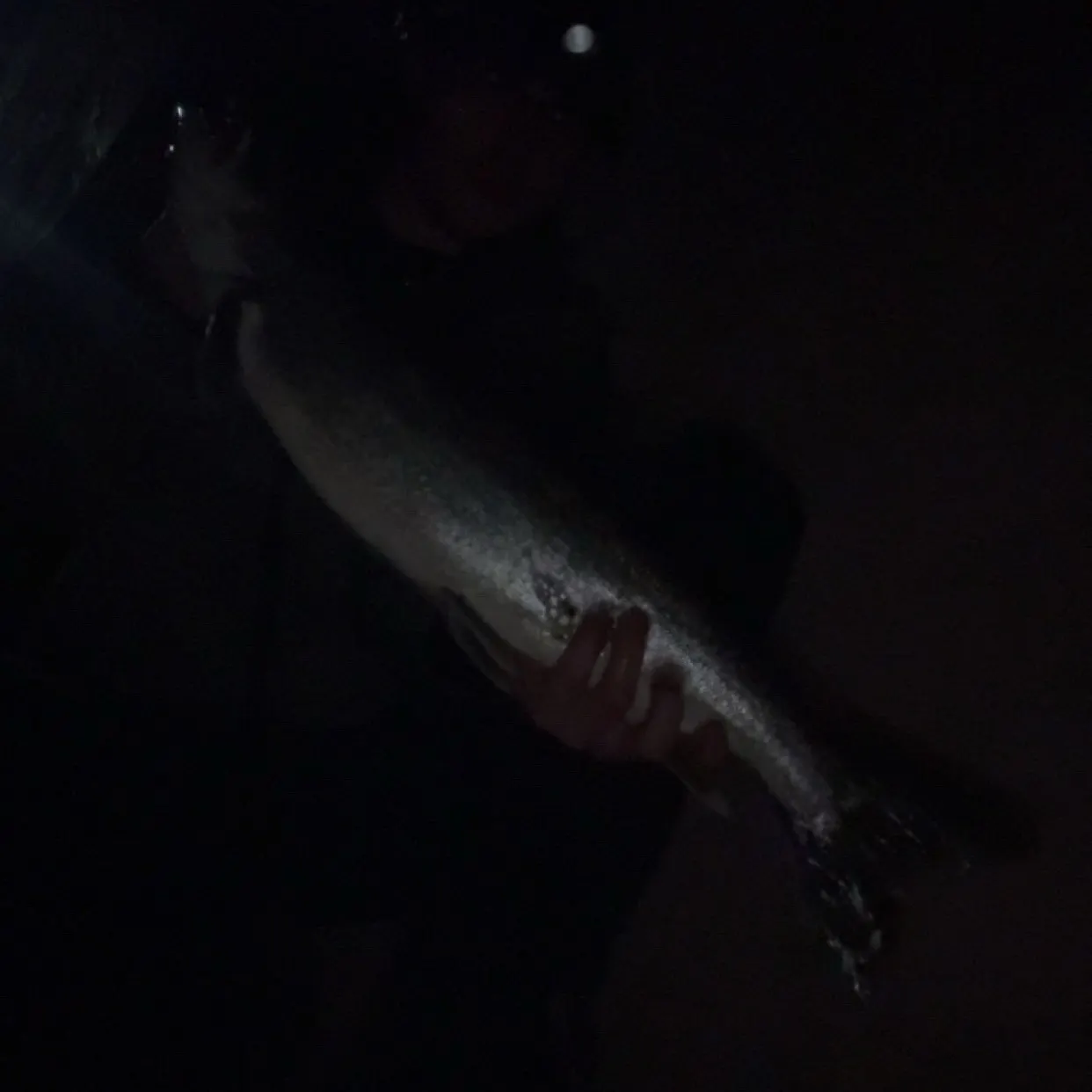 Lake char caught on Fishbrain