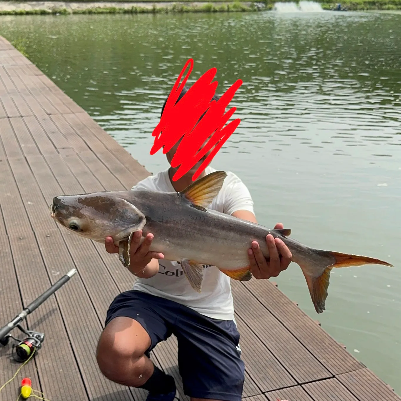 The most recent Mekong giant catfish catches on Fishbrain