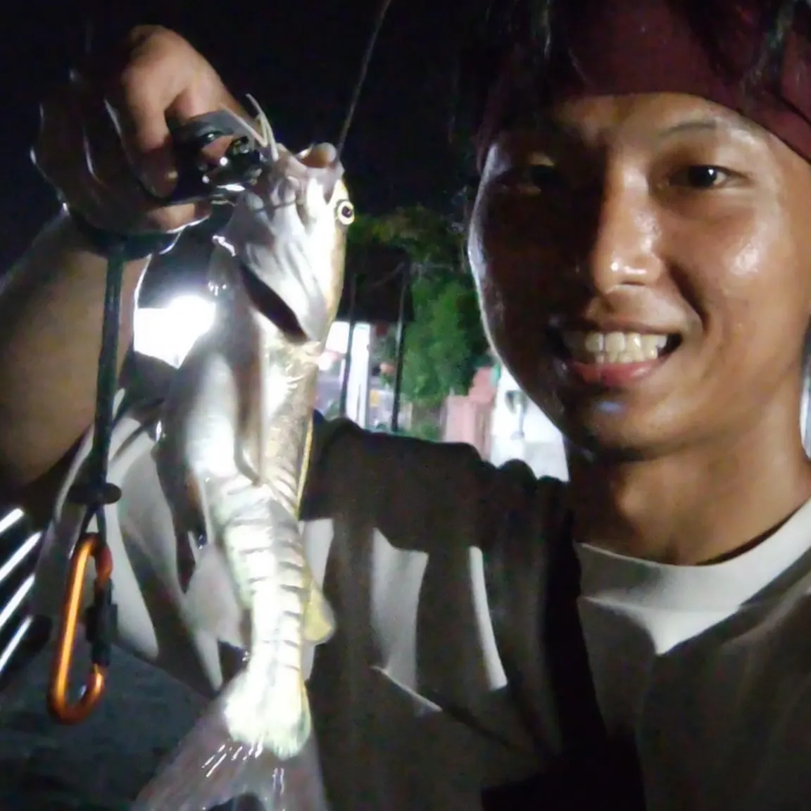 The most recent Sagor sea catfish catches on Fishbrain