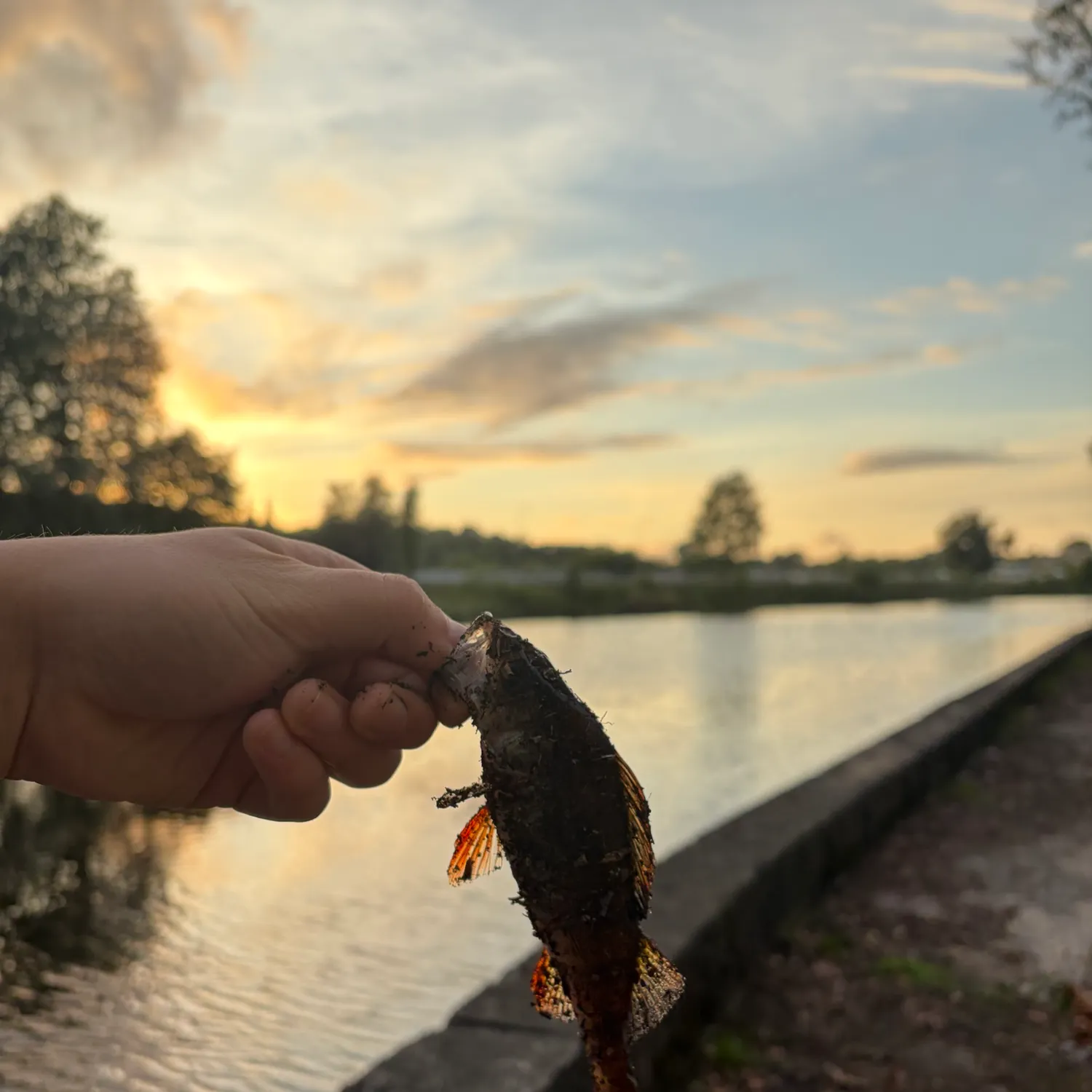 catch