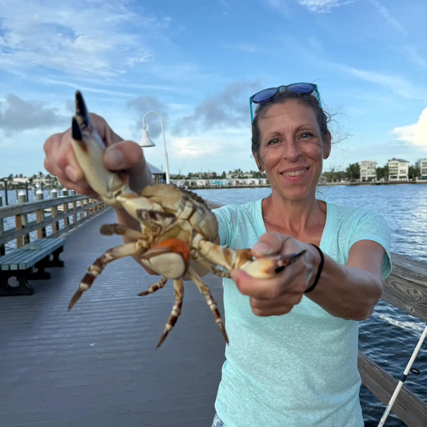 Florida stone crab caught on Fishbrain