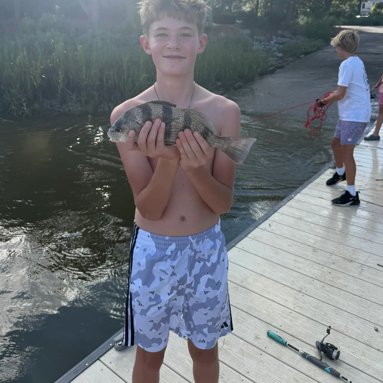 Black drum caught on Fishbrain