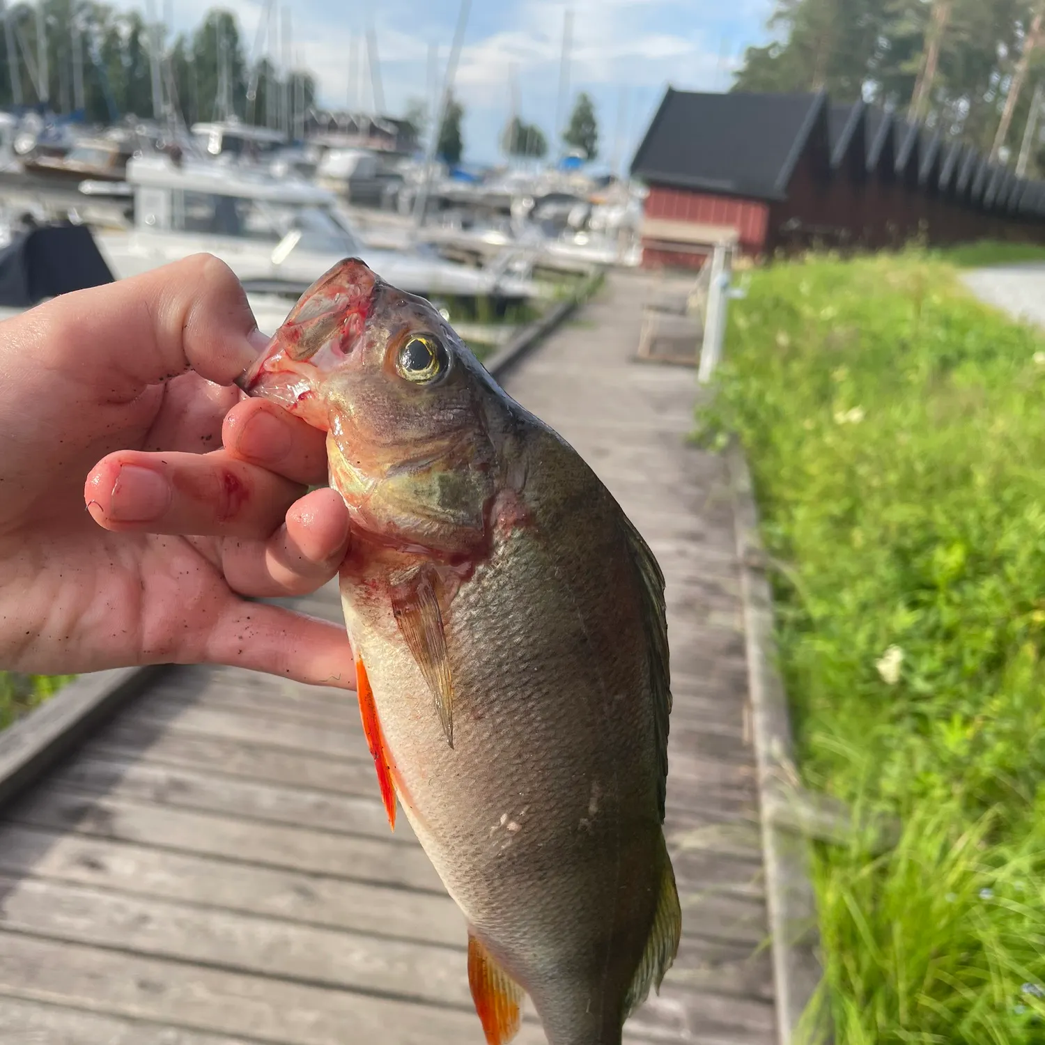 catch