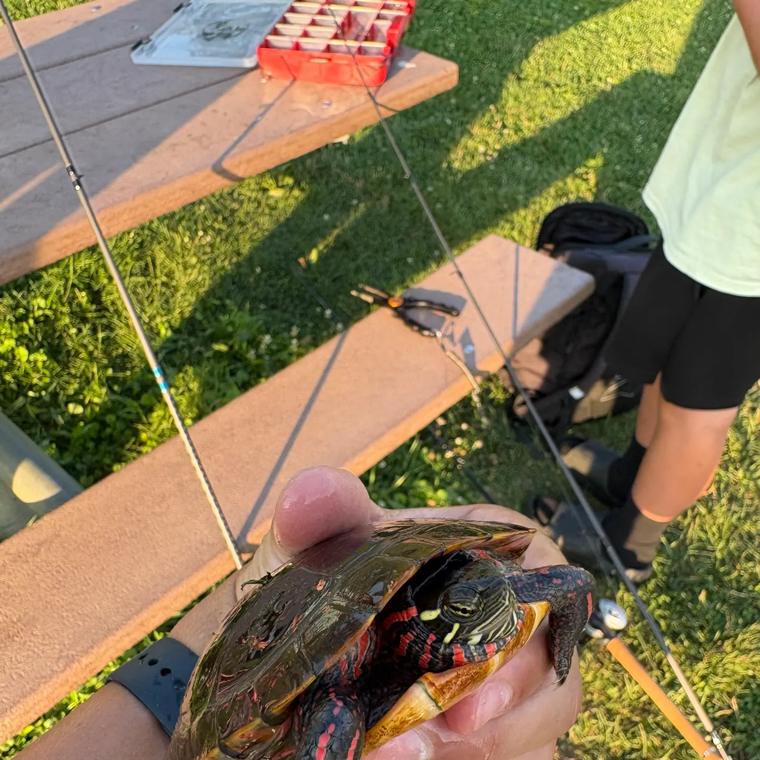 catch