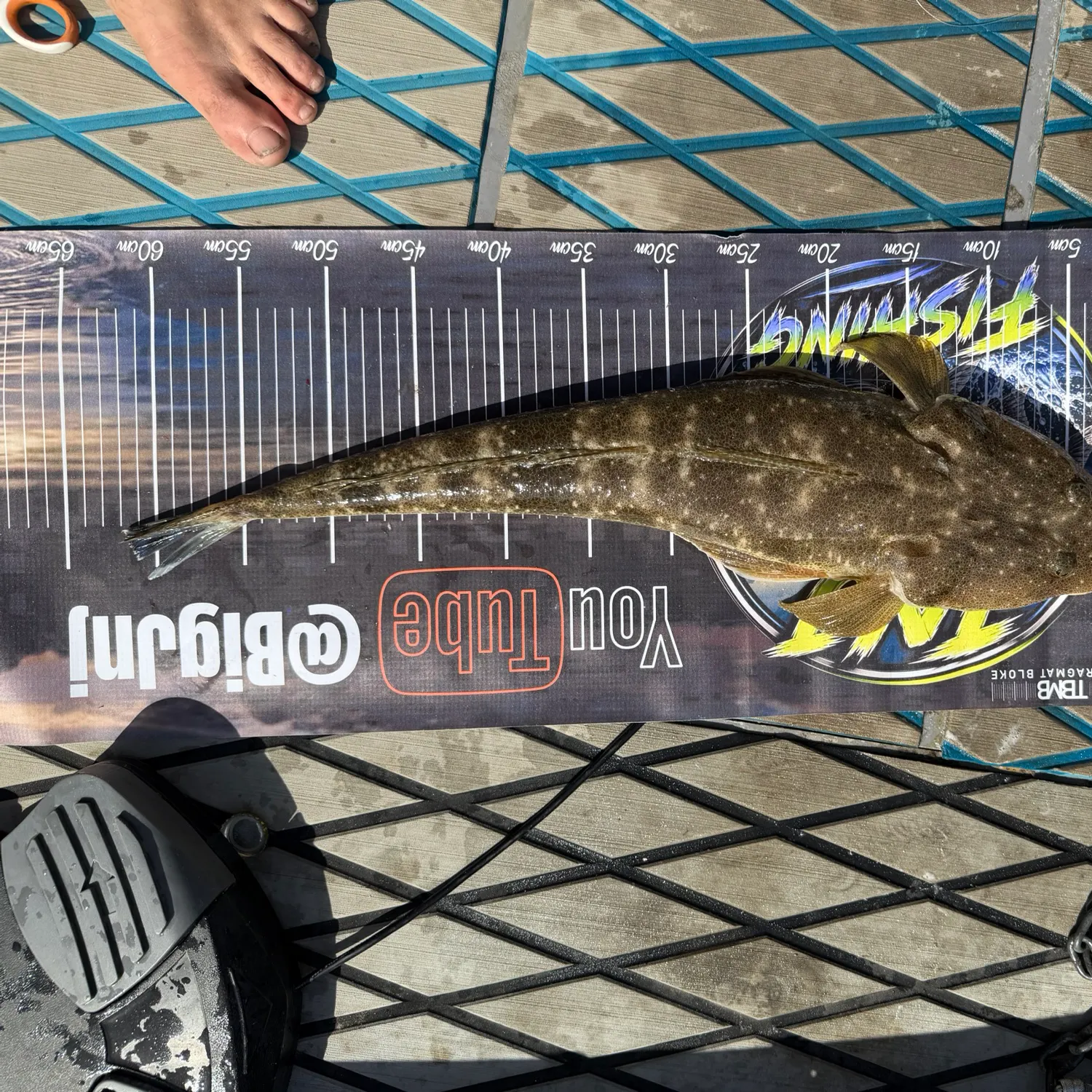 Dusky flathead caught on Fishbrain