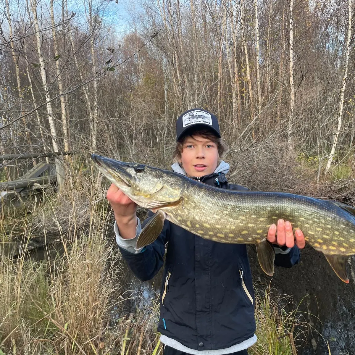 Northern pike caught on Fishbrain