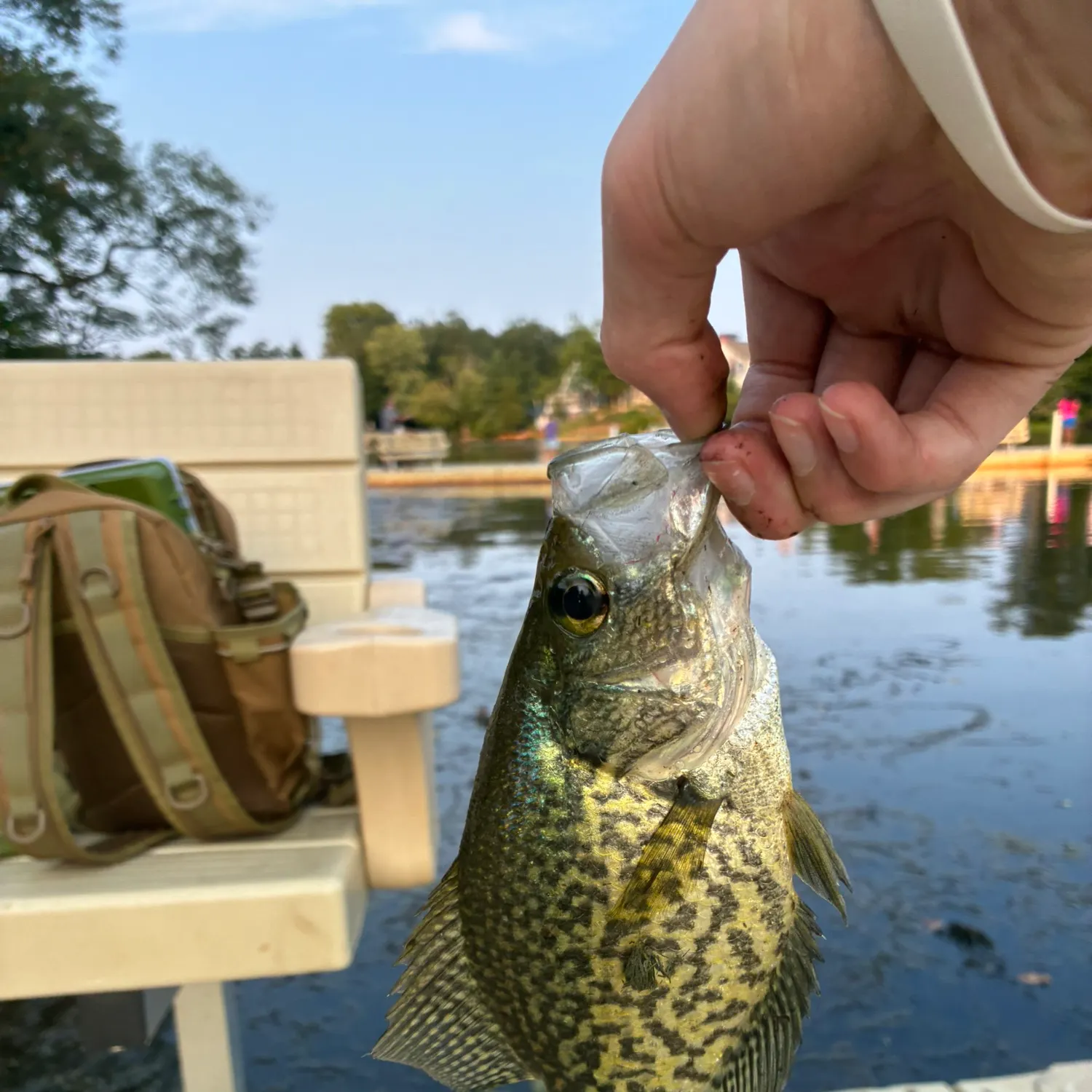 catch