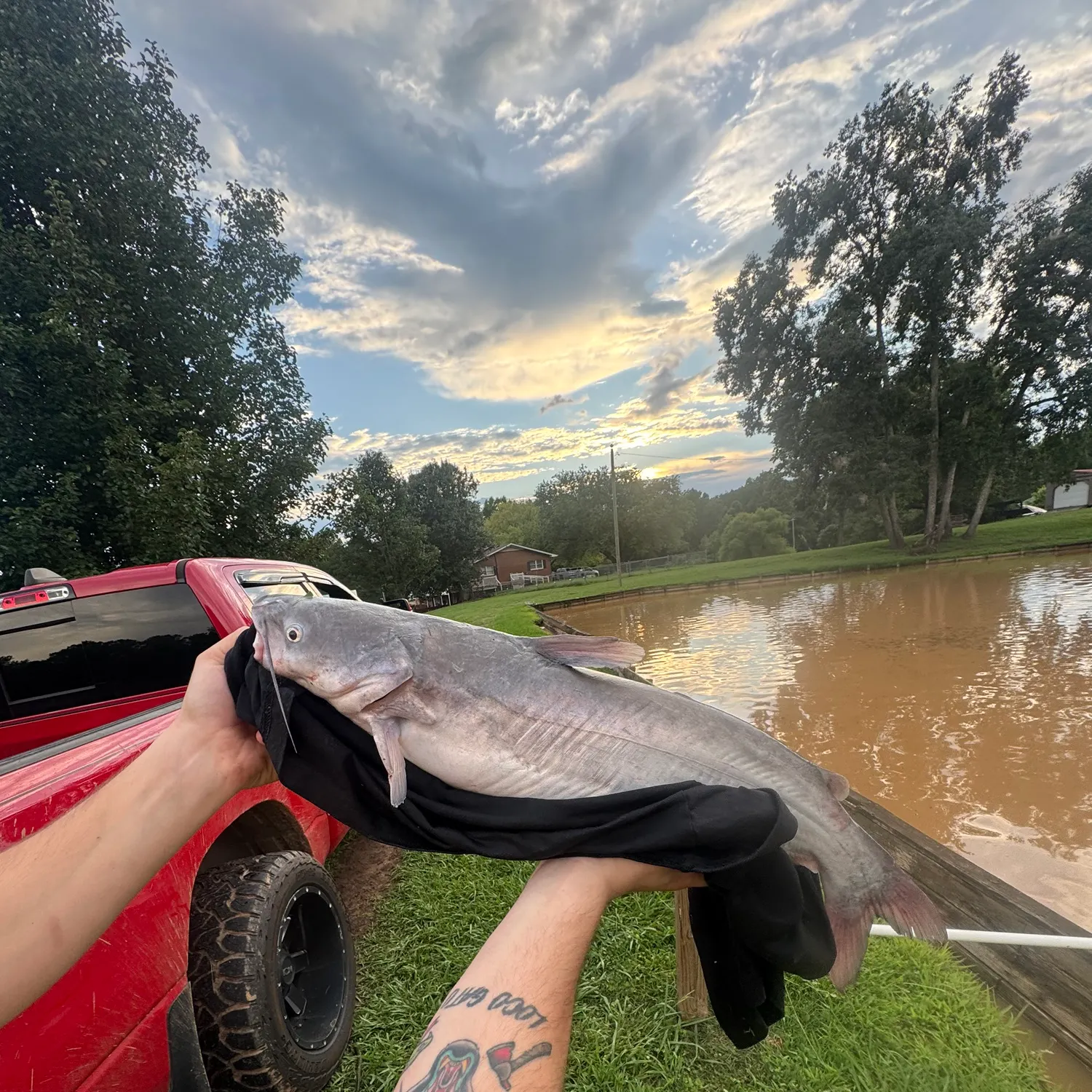 catch