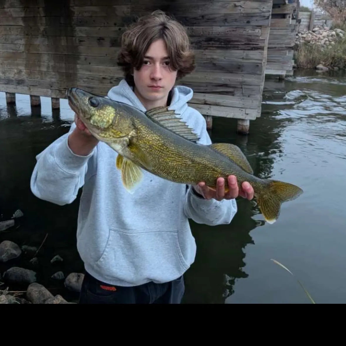 Walleye caught on Fishbrain