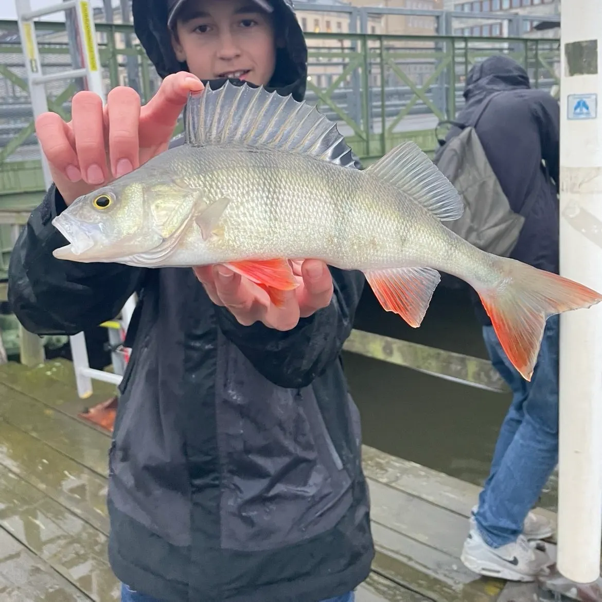catch
