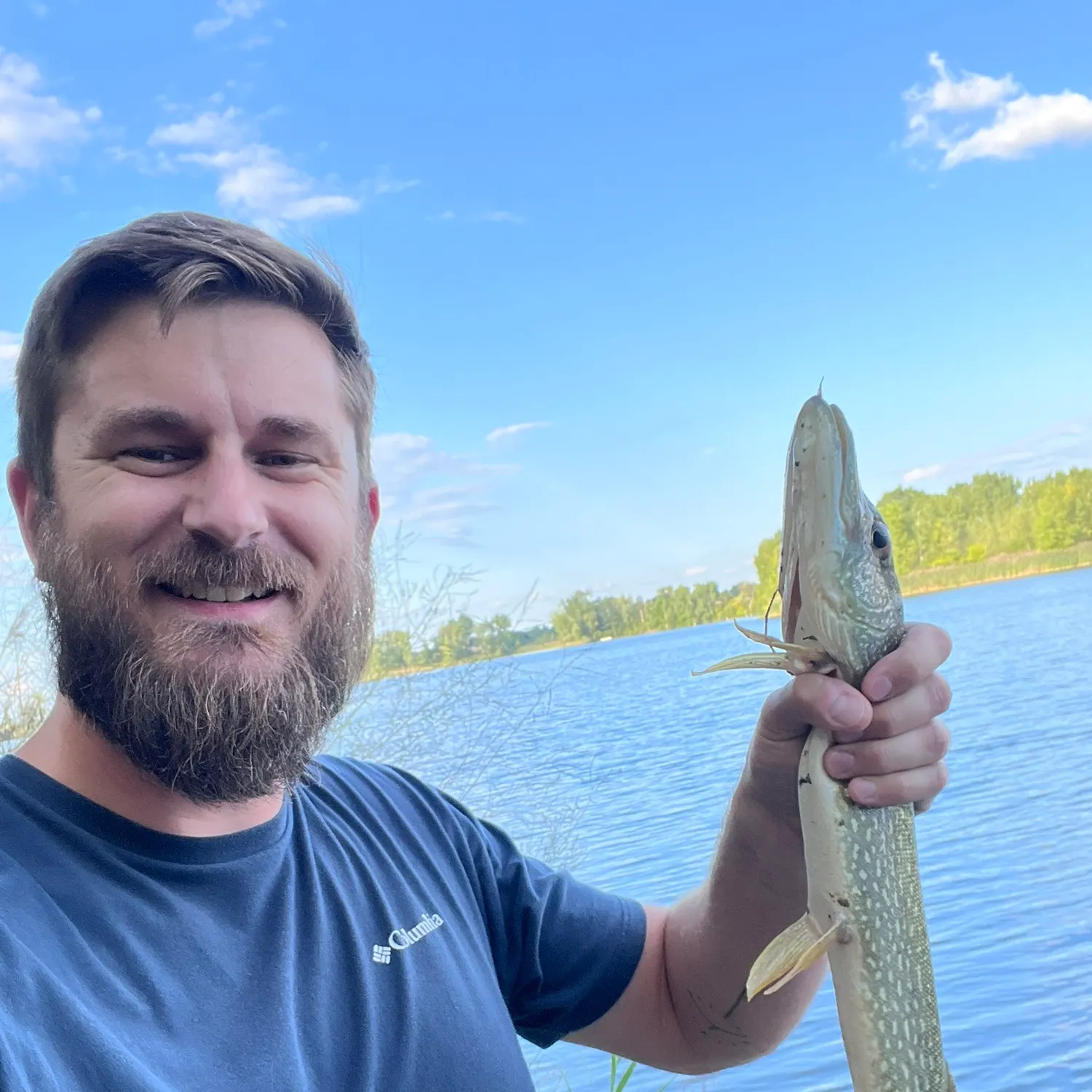 Northern pike caught on Fishbrain