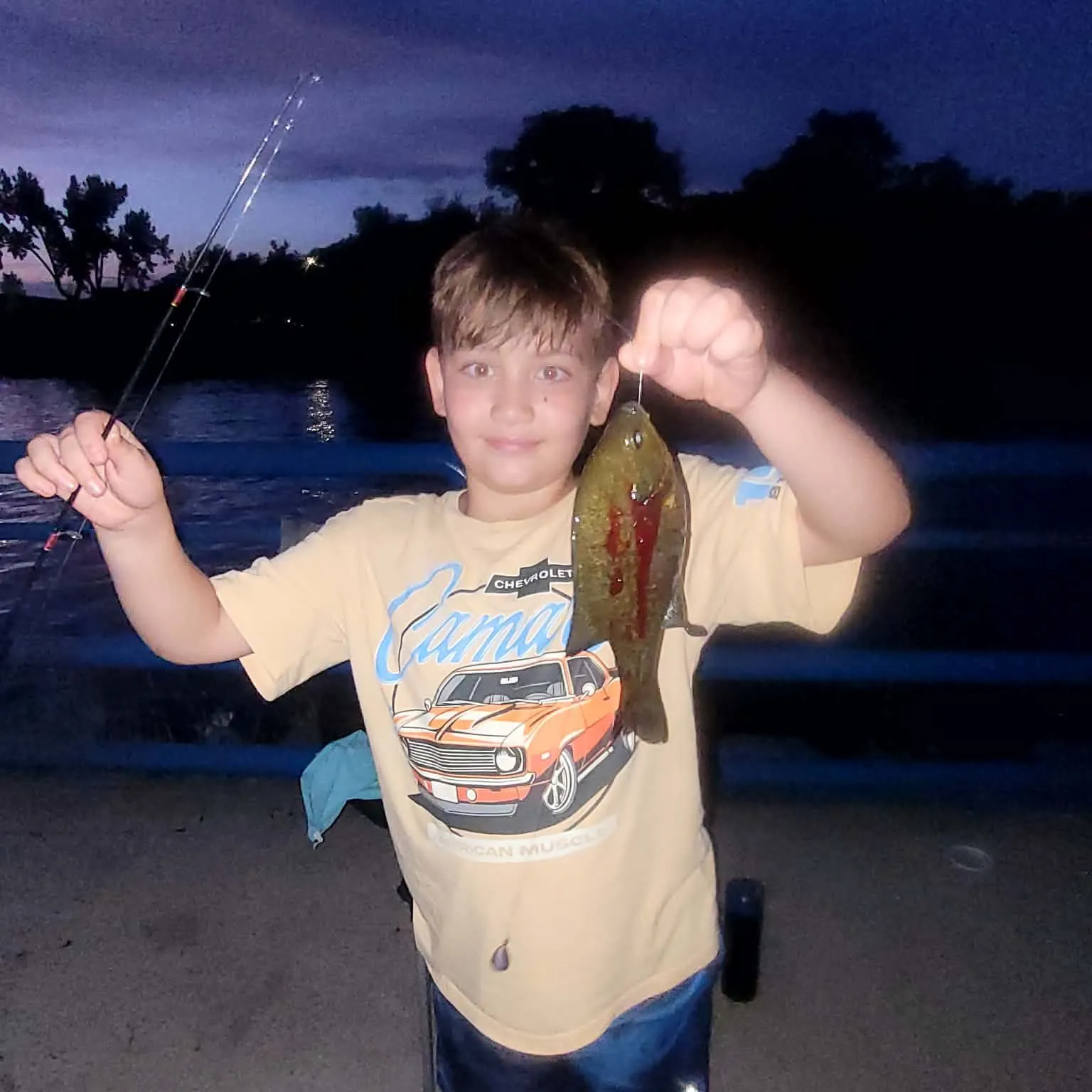 Pumpkinseed caught on Fishbrain