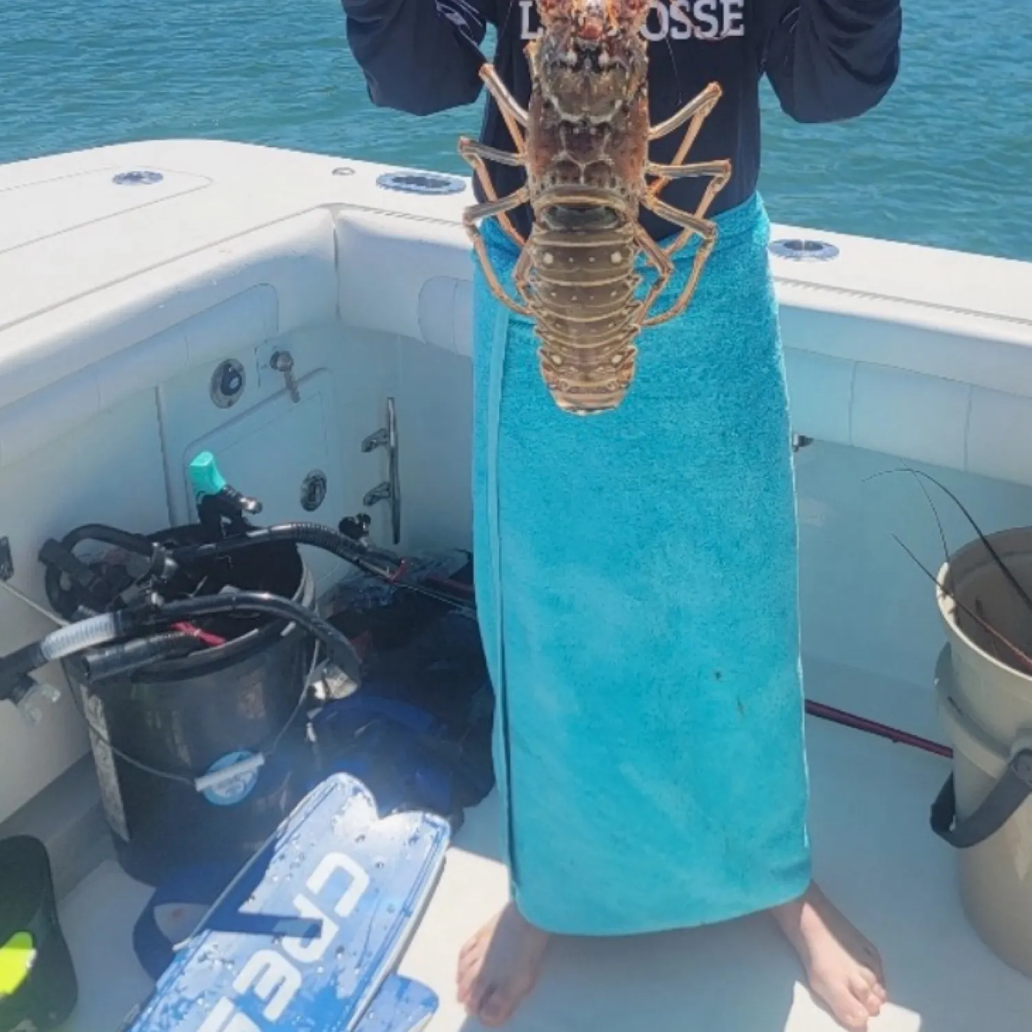 The most recent Caribbean spiny lobster catches on Fishbrain