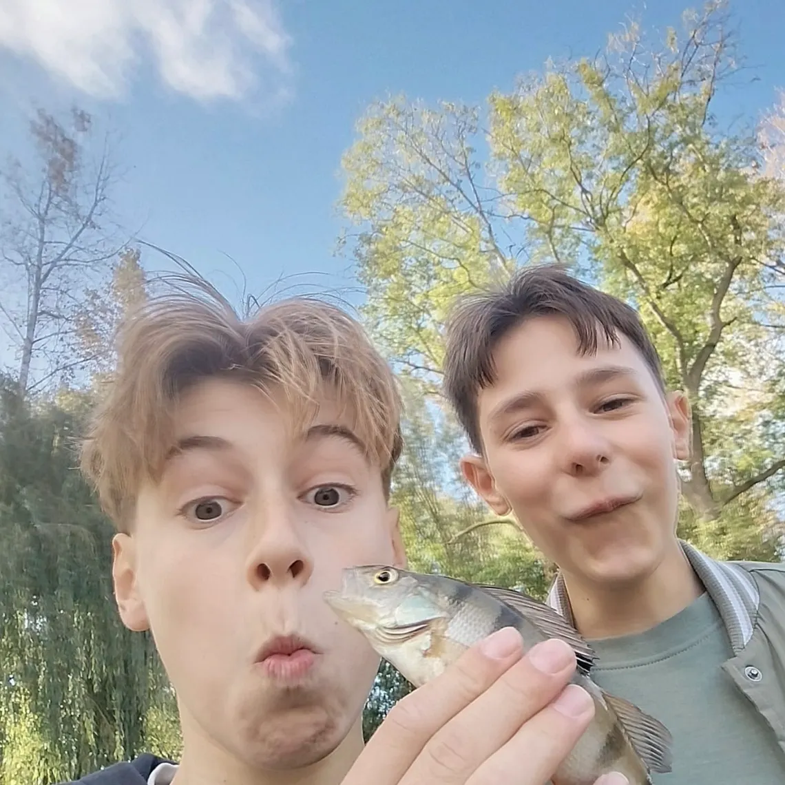 European perch caught on Fishbrain
