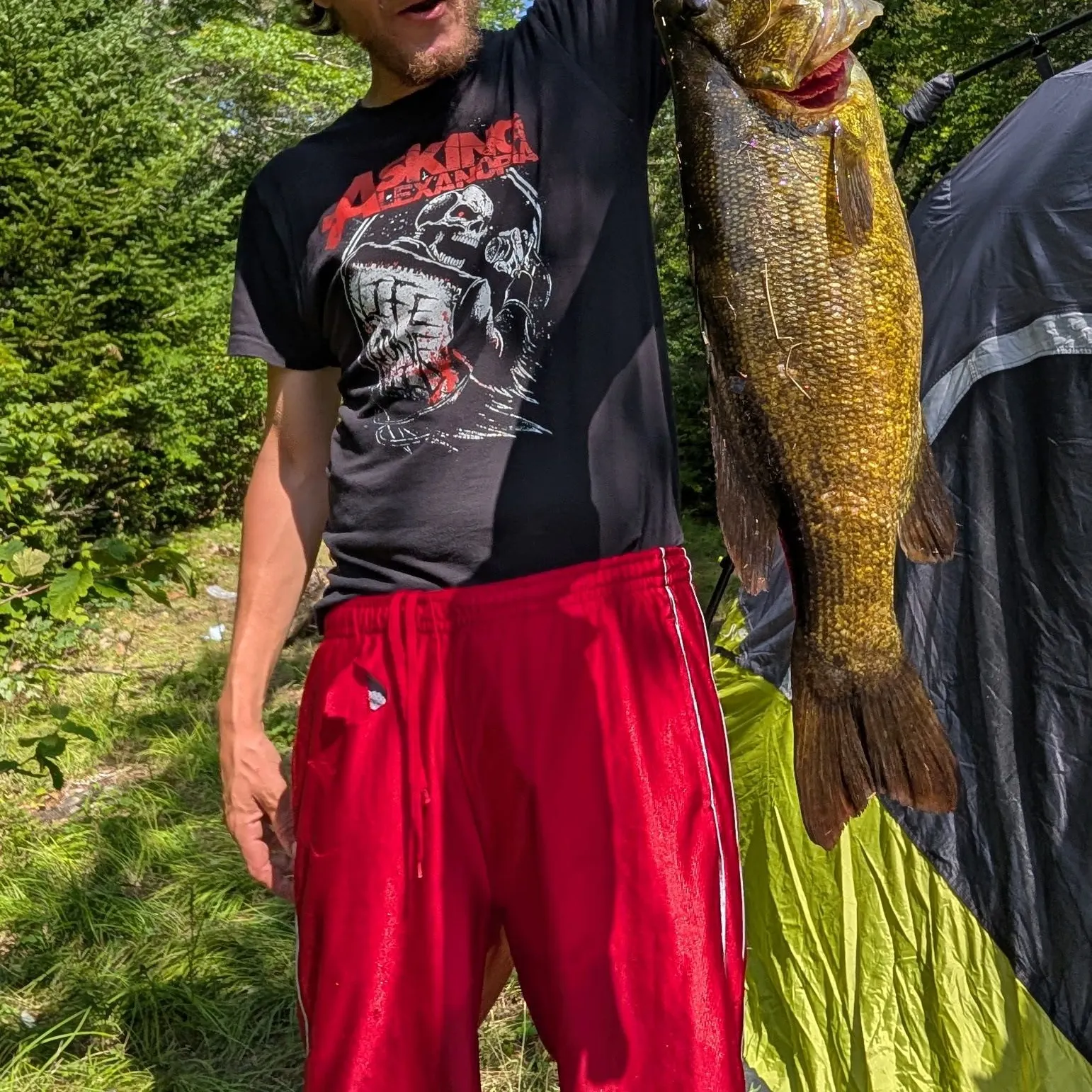Smallmouth bass caught on Fishbrain