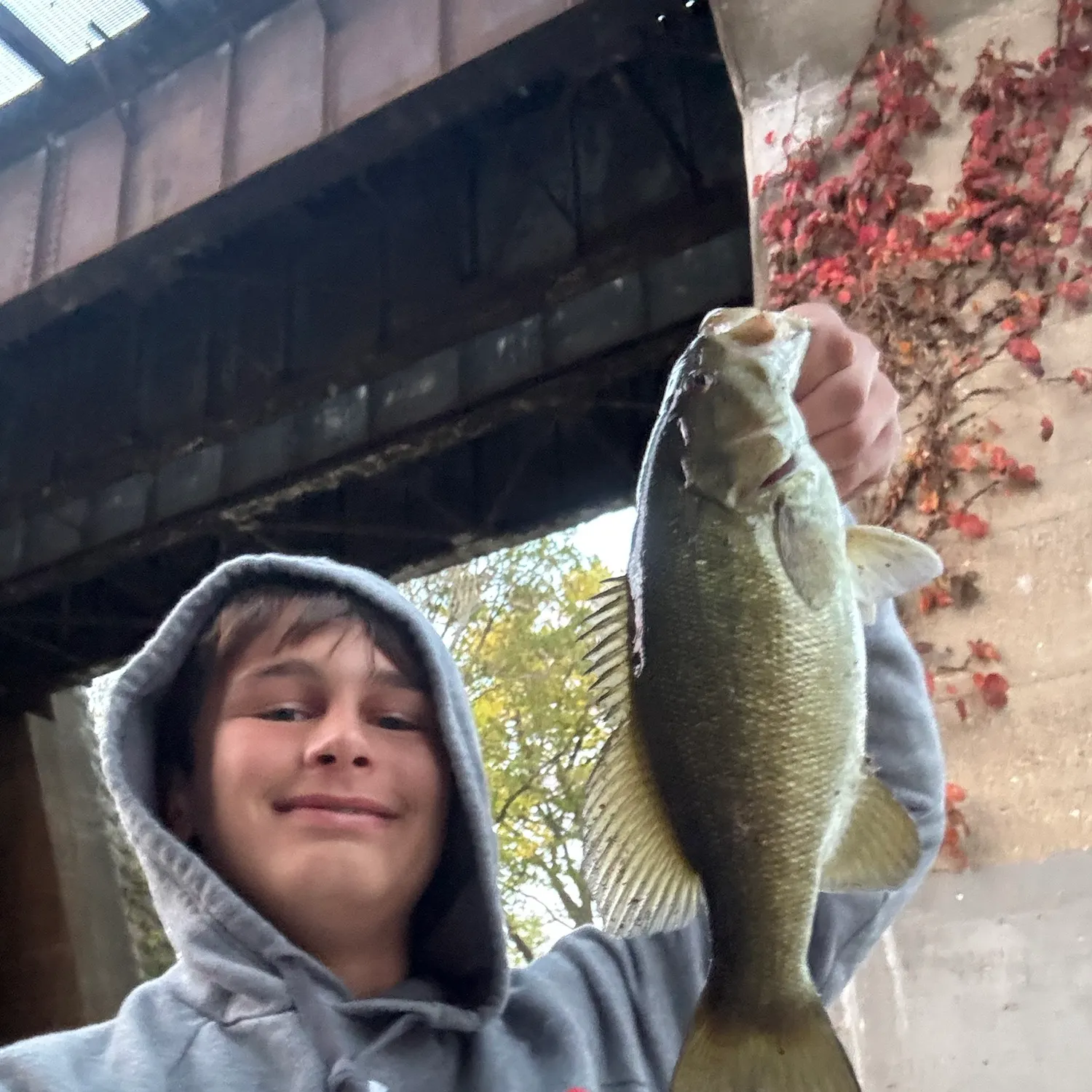 Smallmouth bass caught on Fishbrain