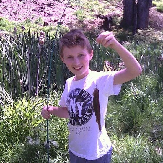 Brown trout caught on Fishbrain