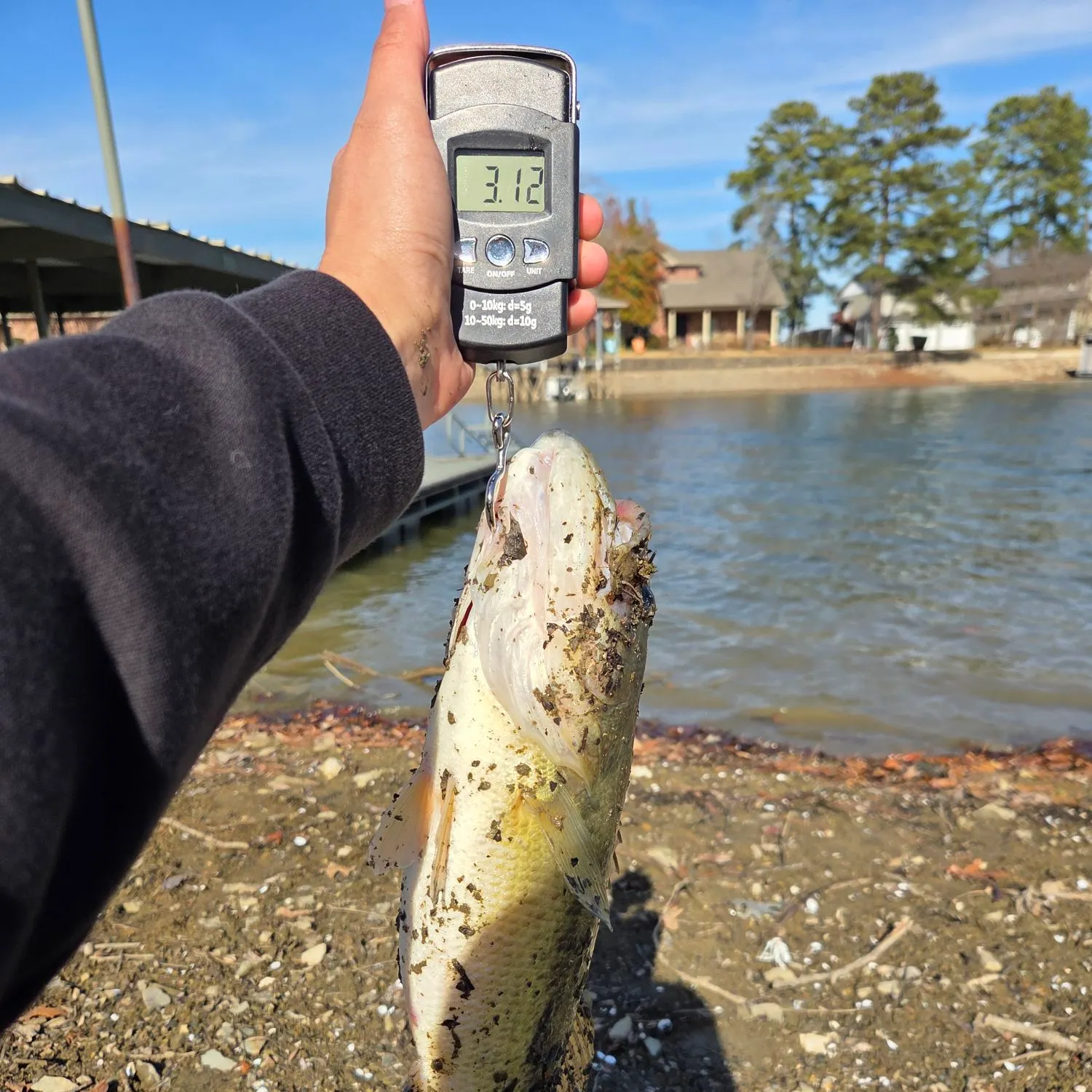 The most recent Largemouth bass catches on Fishbrain