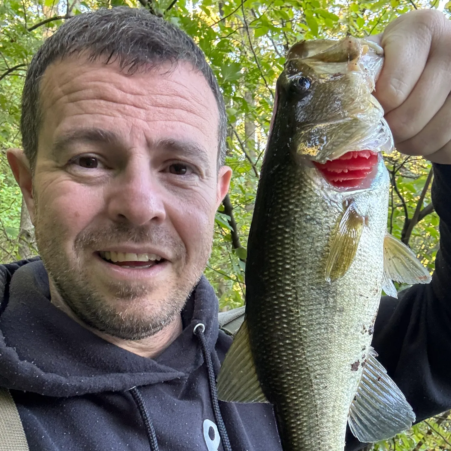 Largemouth bass caught on Fishbrain