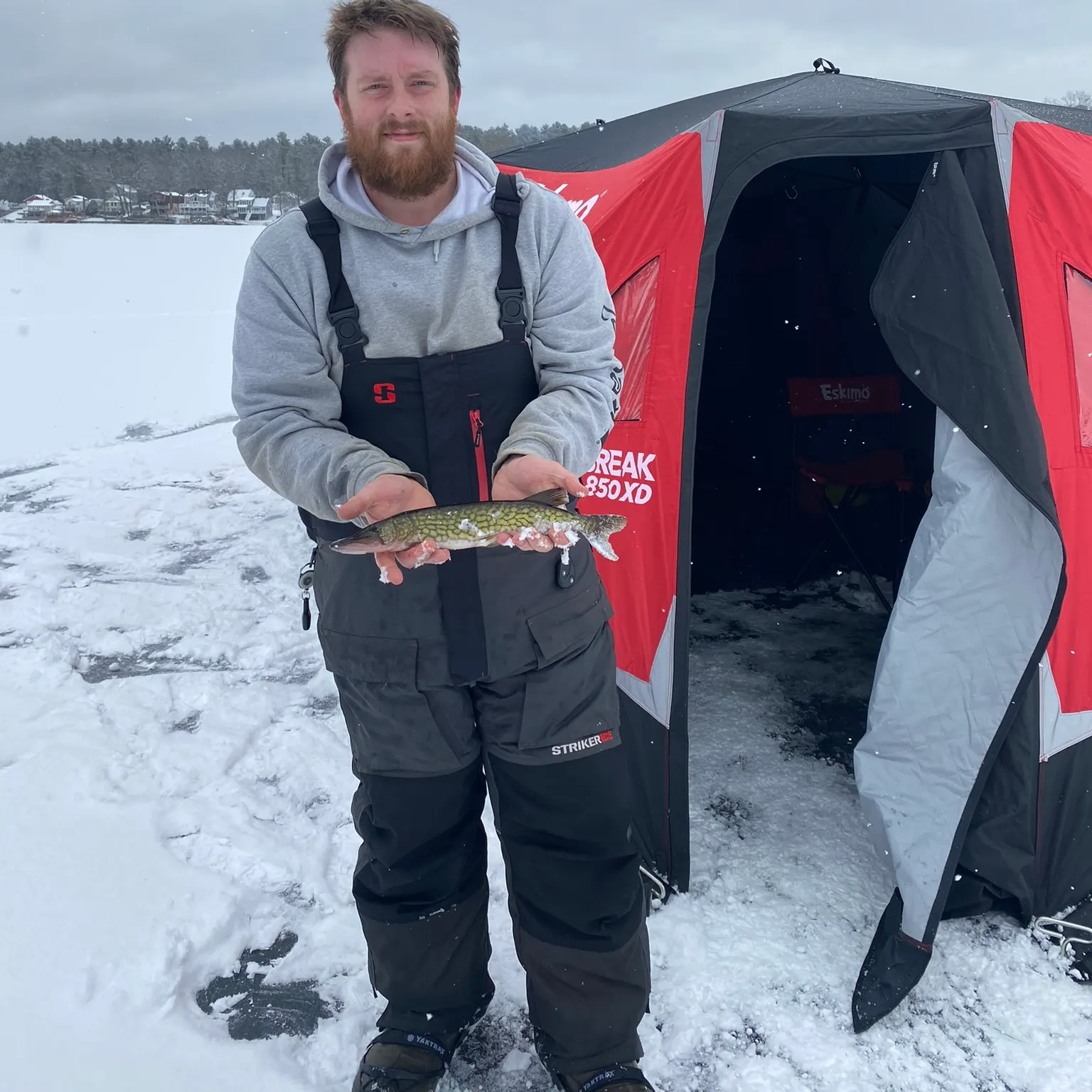 The most recent Chain pickerel catches on Fishbrain
