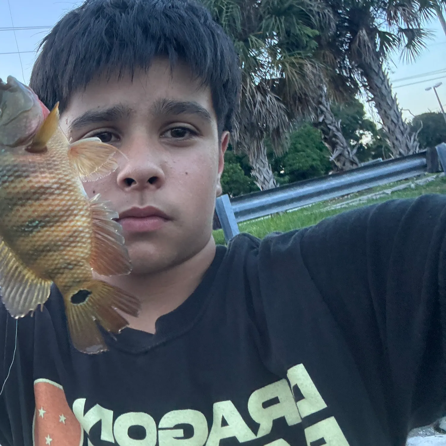 Mayan cichlid caught on Fishbrain