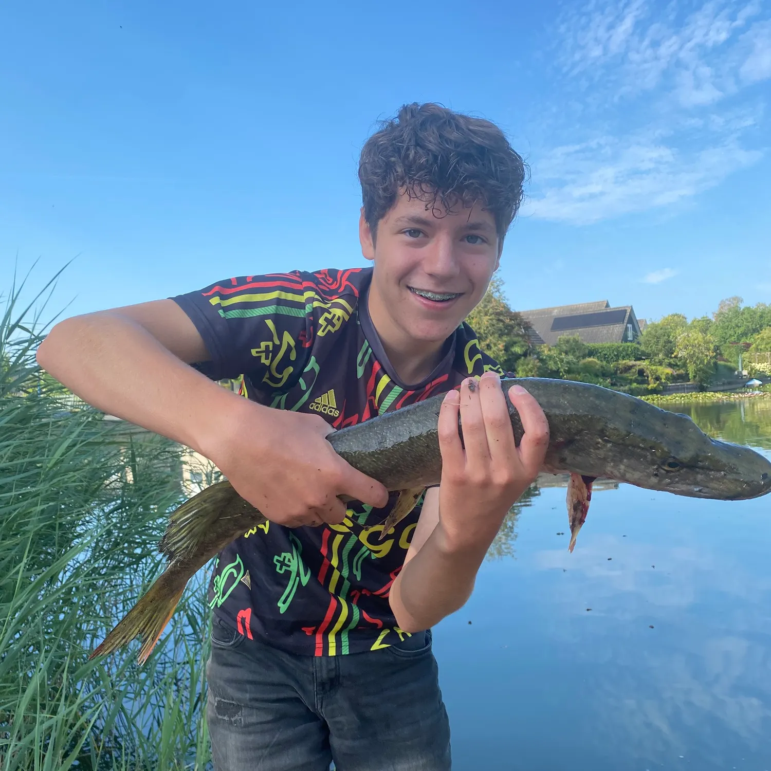 Northern pike caught on Fishbrain