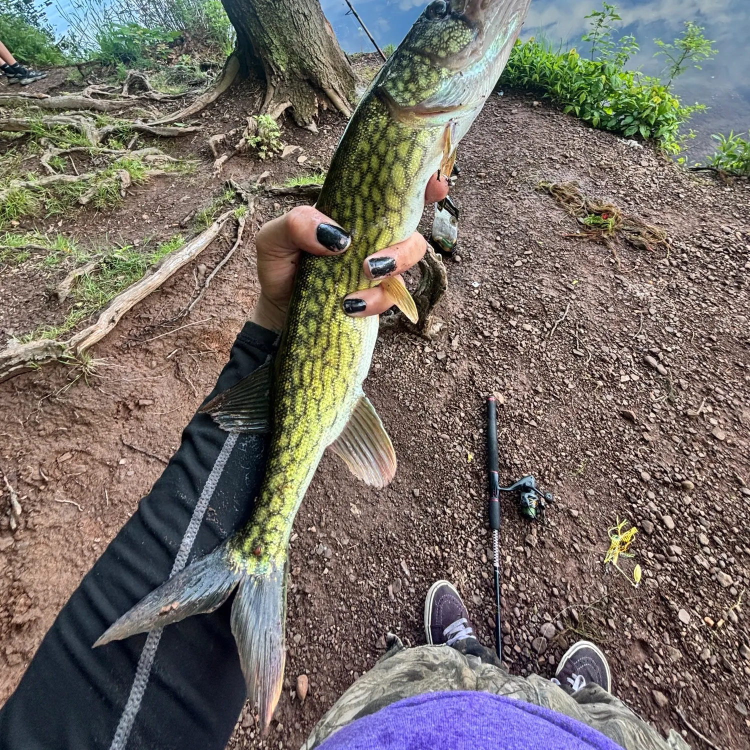 catch