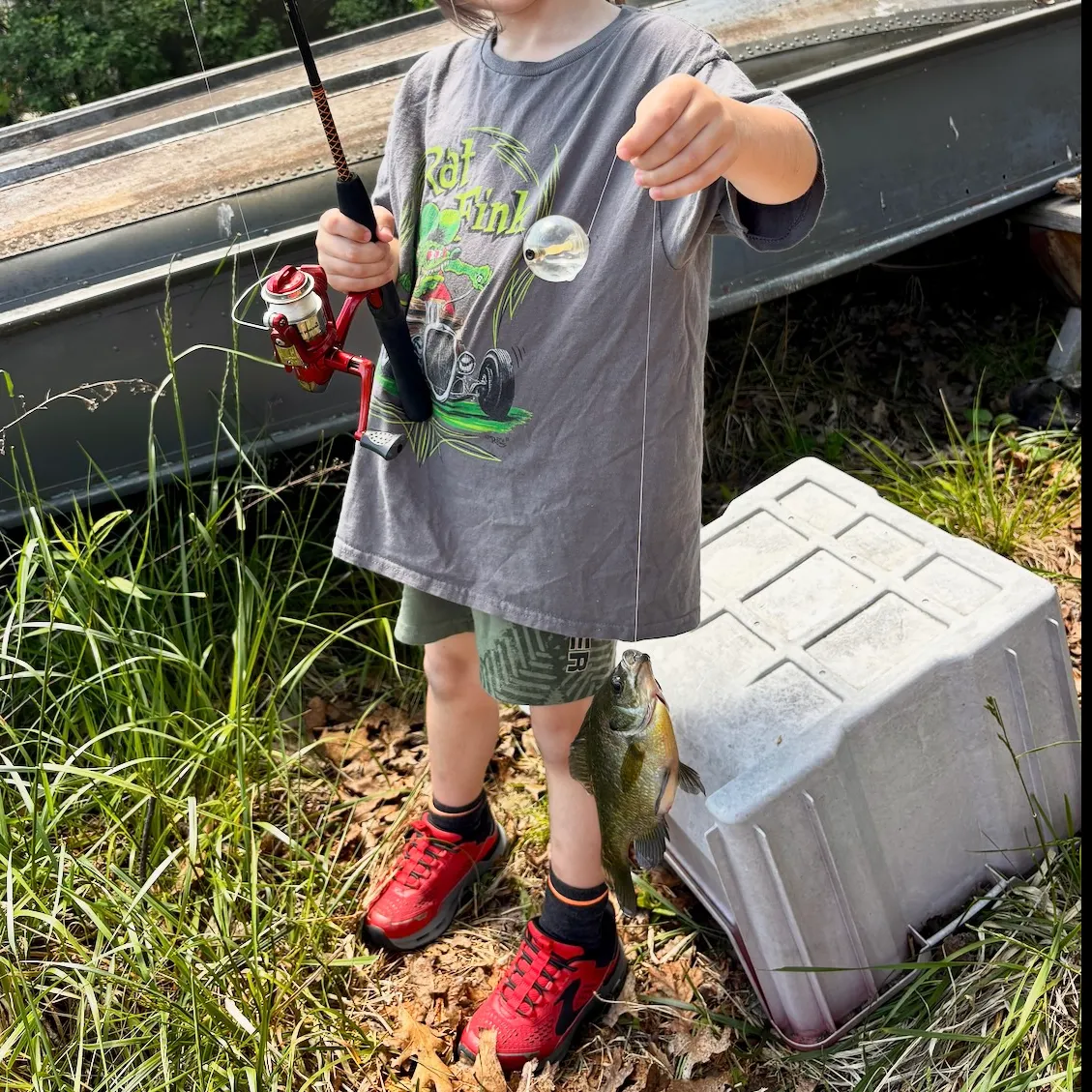 recently logged catches