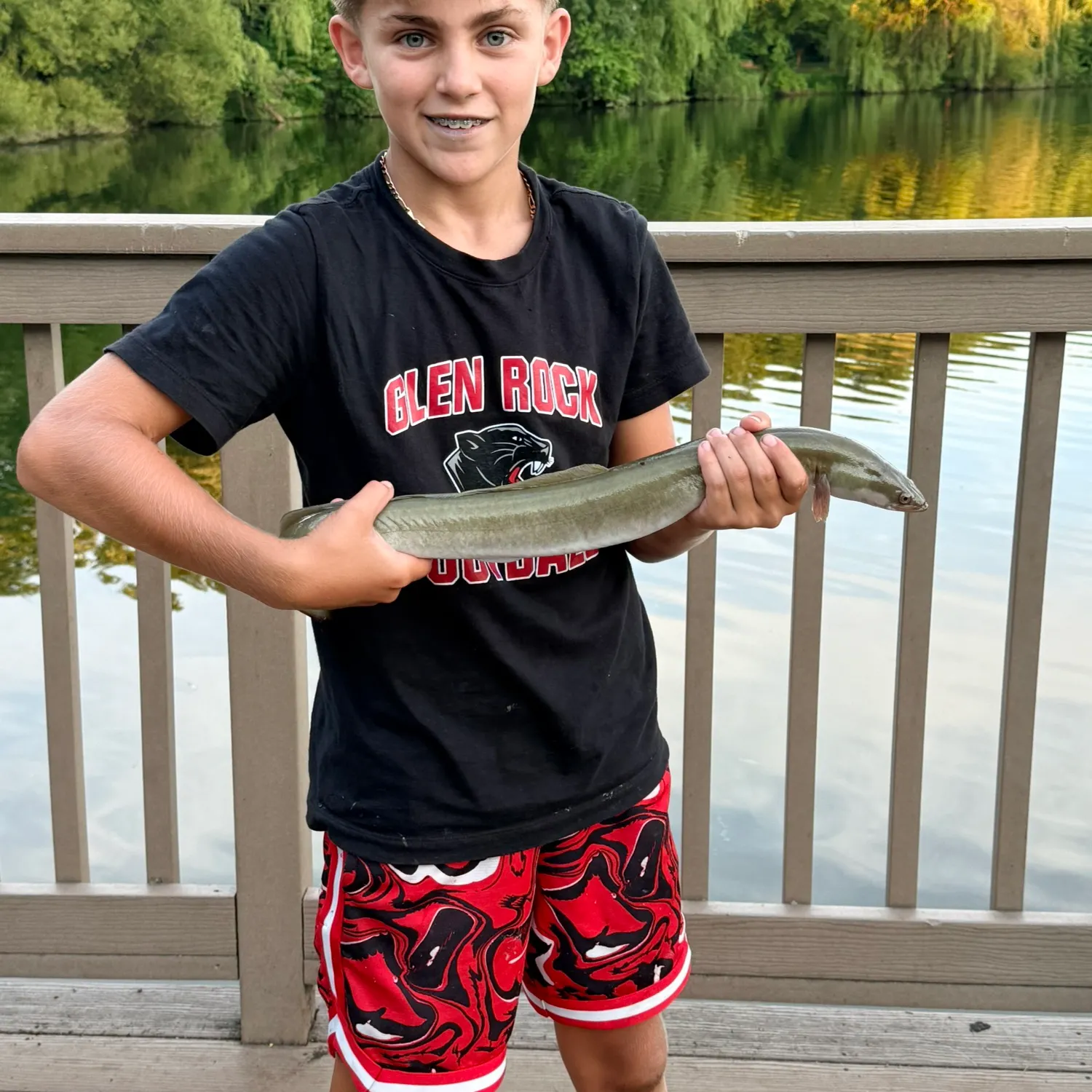 American eel caught on Fishbrain