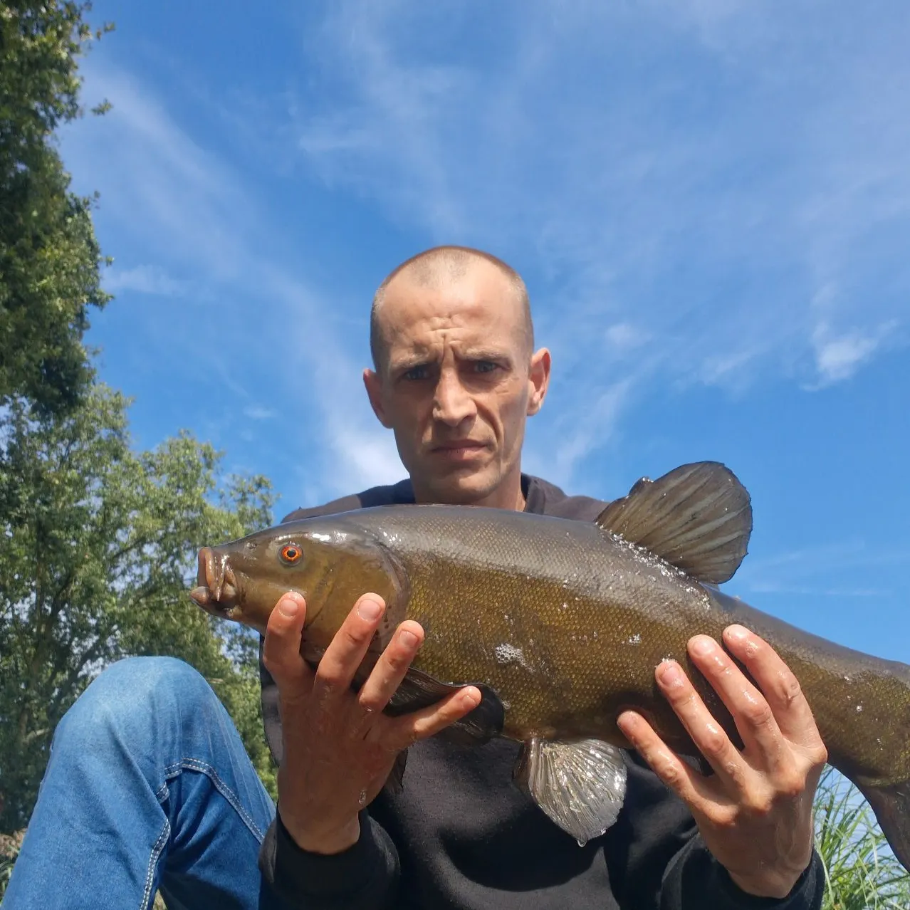 Tench caught on Fishbrain