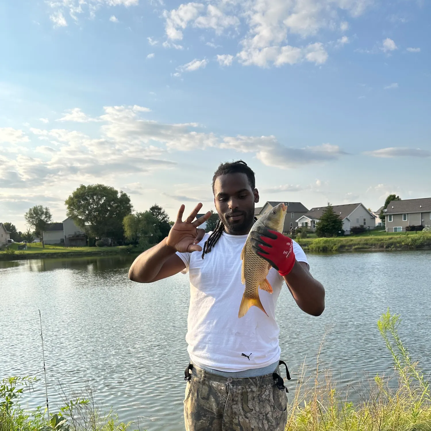Common carp caught on Fishbrain