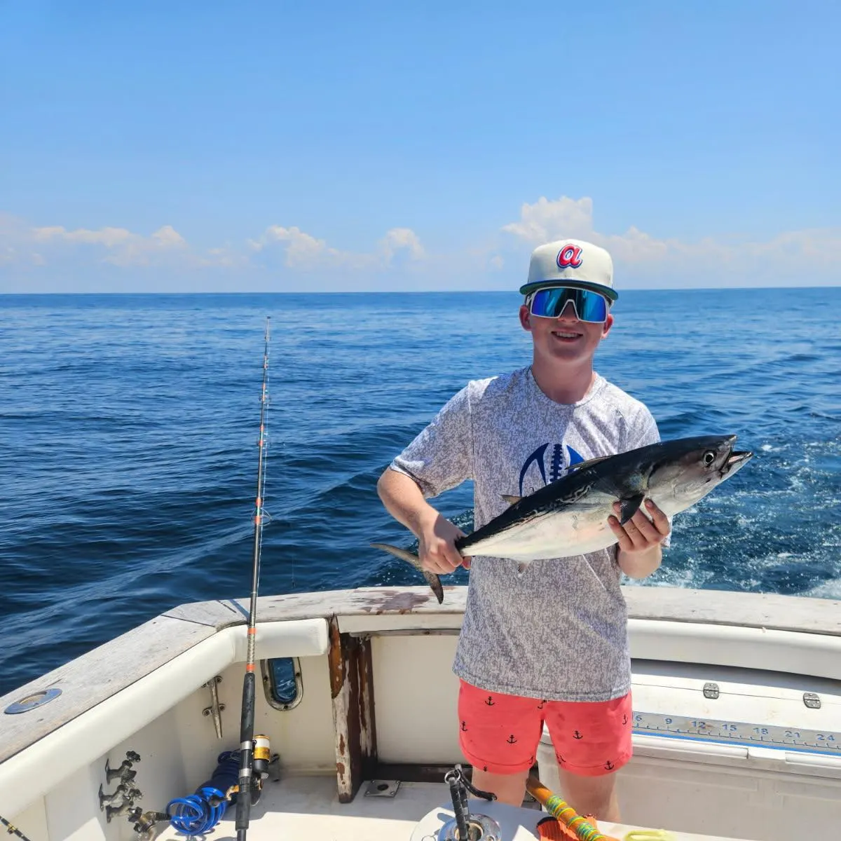 The most recent Little tunny catches on Fishbrain