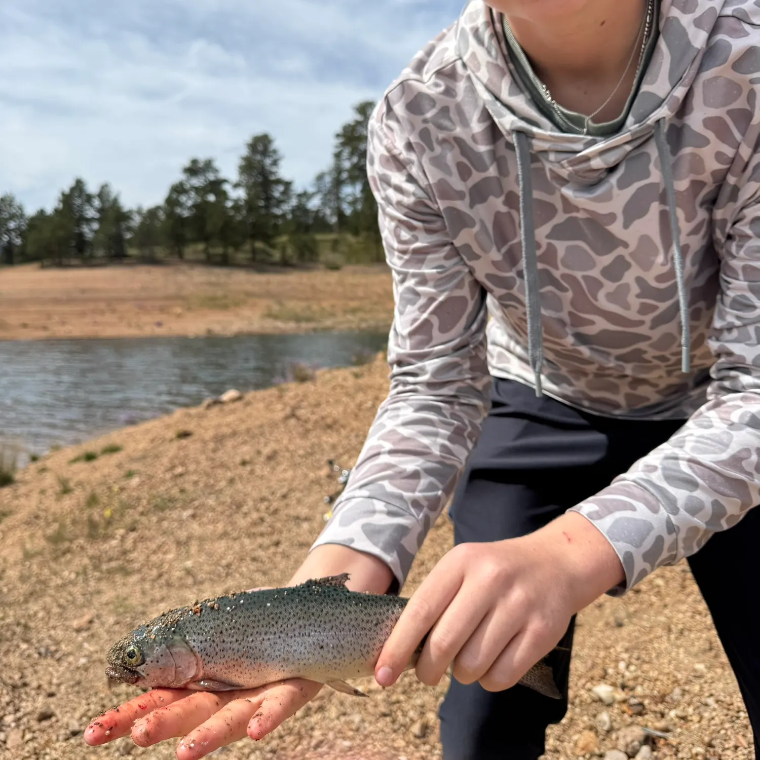 Rainbow trout caught on Fishbrain