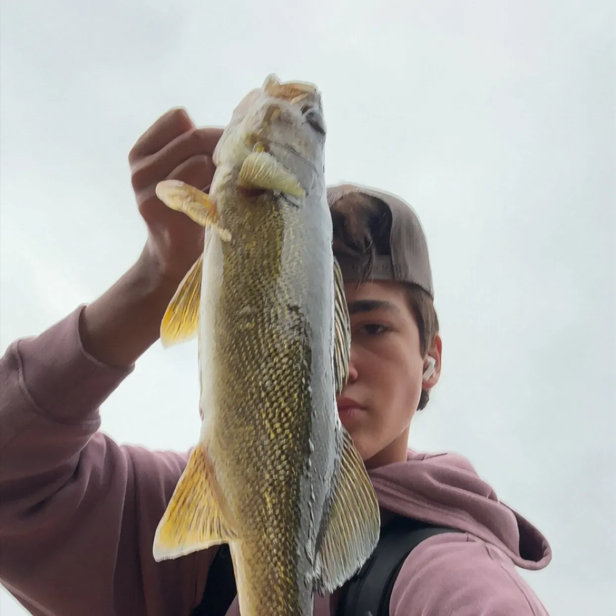 Walleye caught on Fishbrain