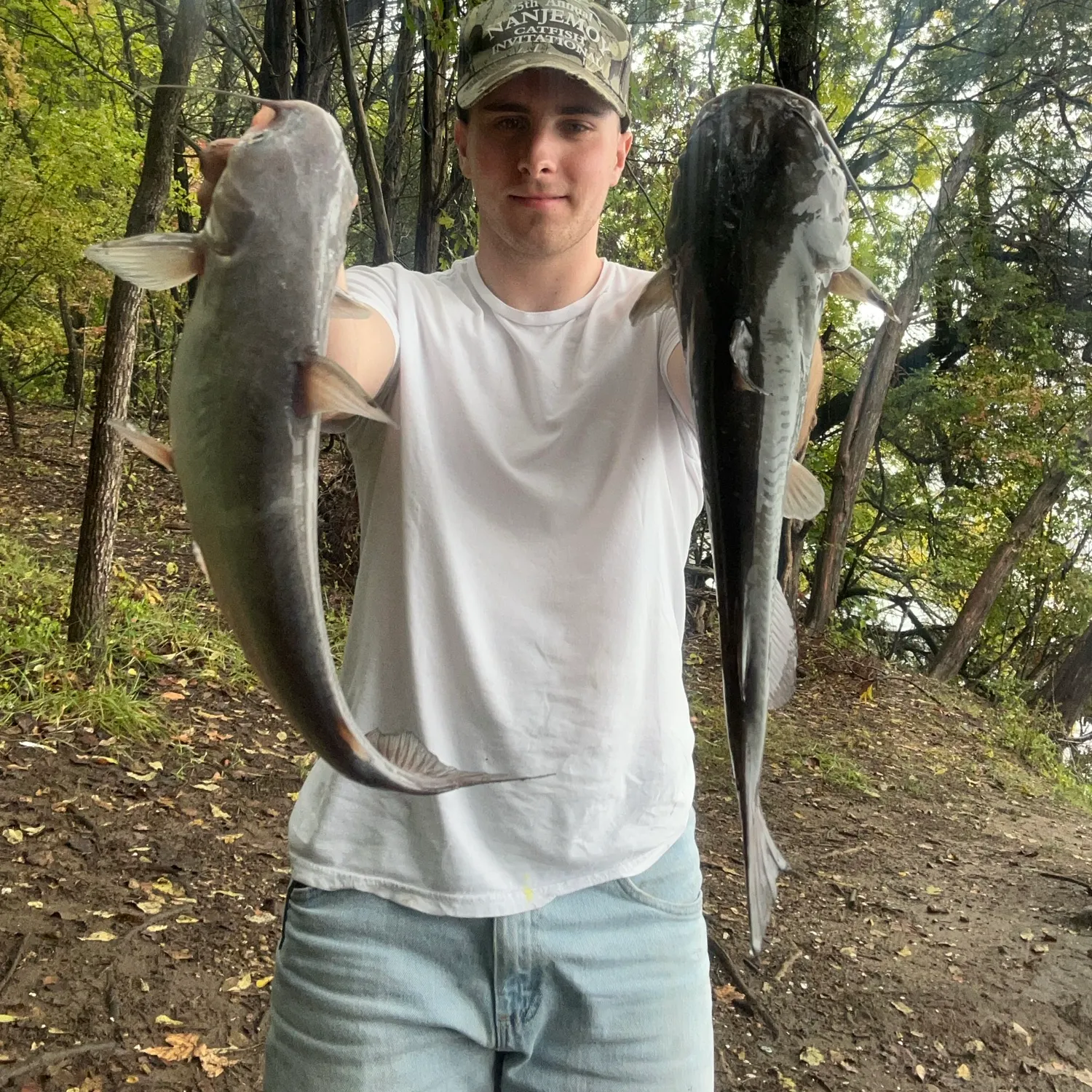 Blue catfish caught on Fishbrain