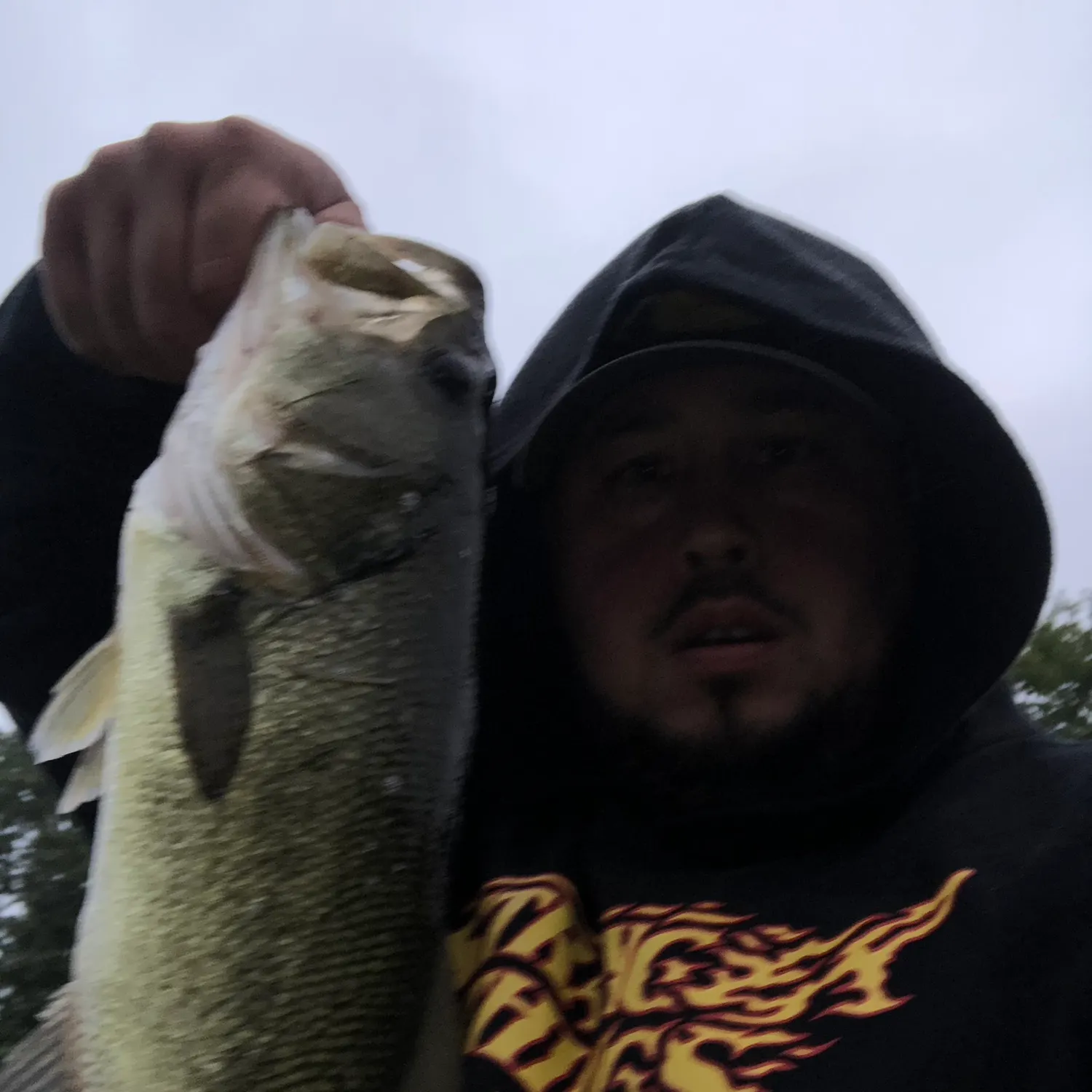 Largemouth bass caught on Fishbrain
