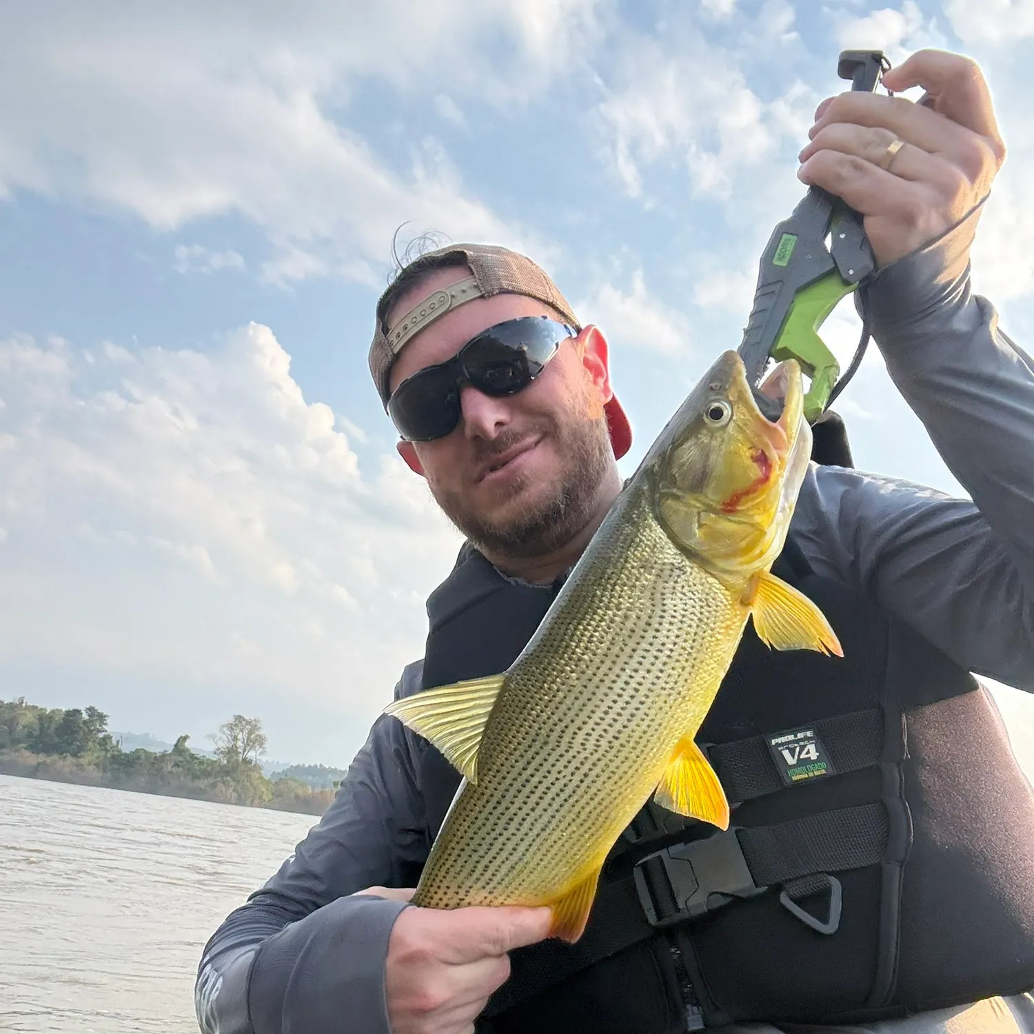 The most recent Golden dorado catches on Fishbrain