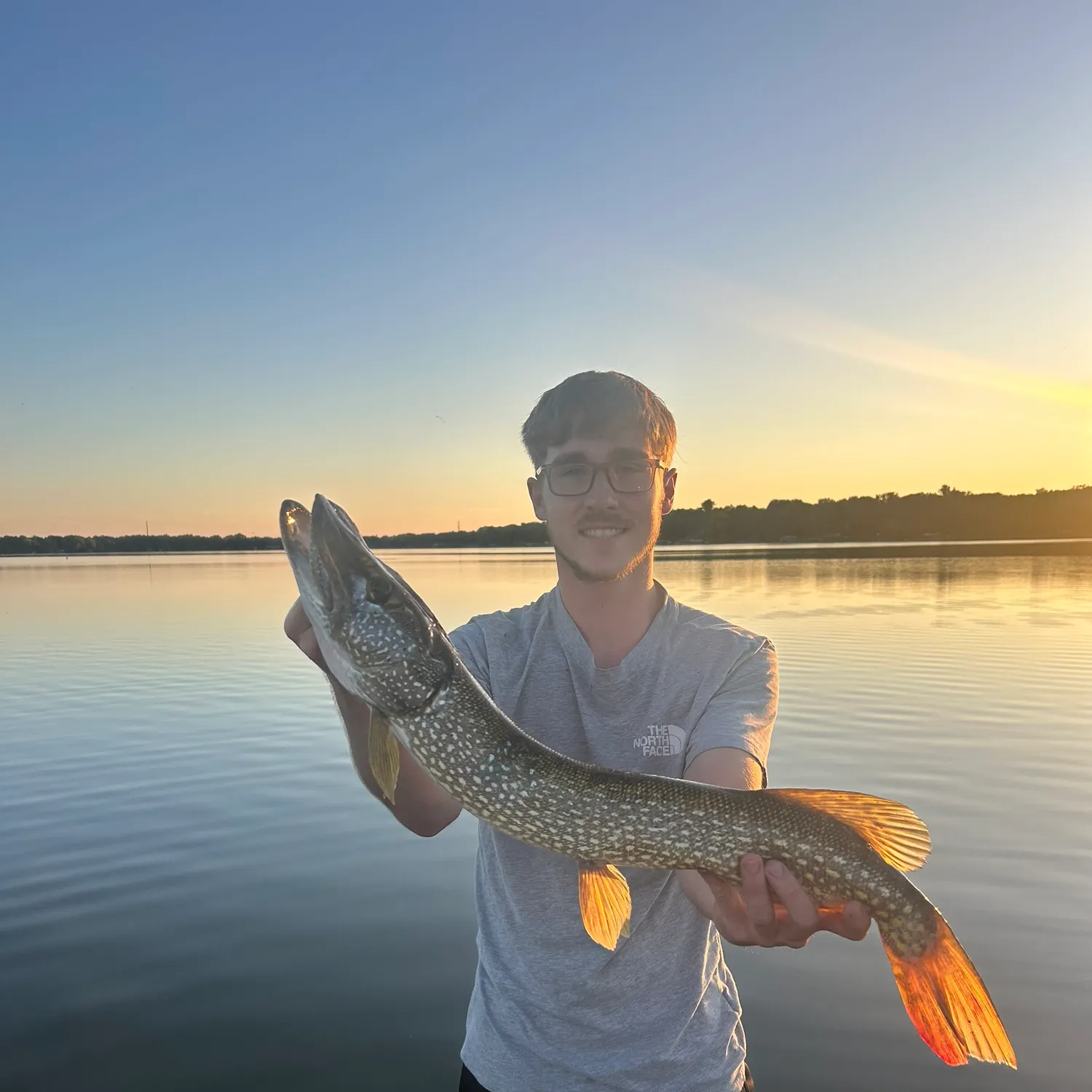 Northern pike caught on Fishbrain