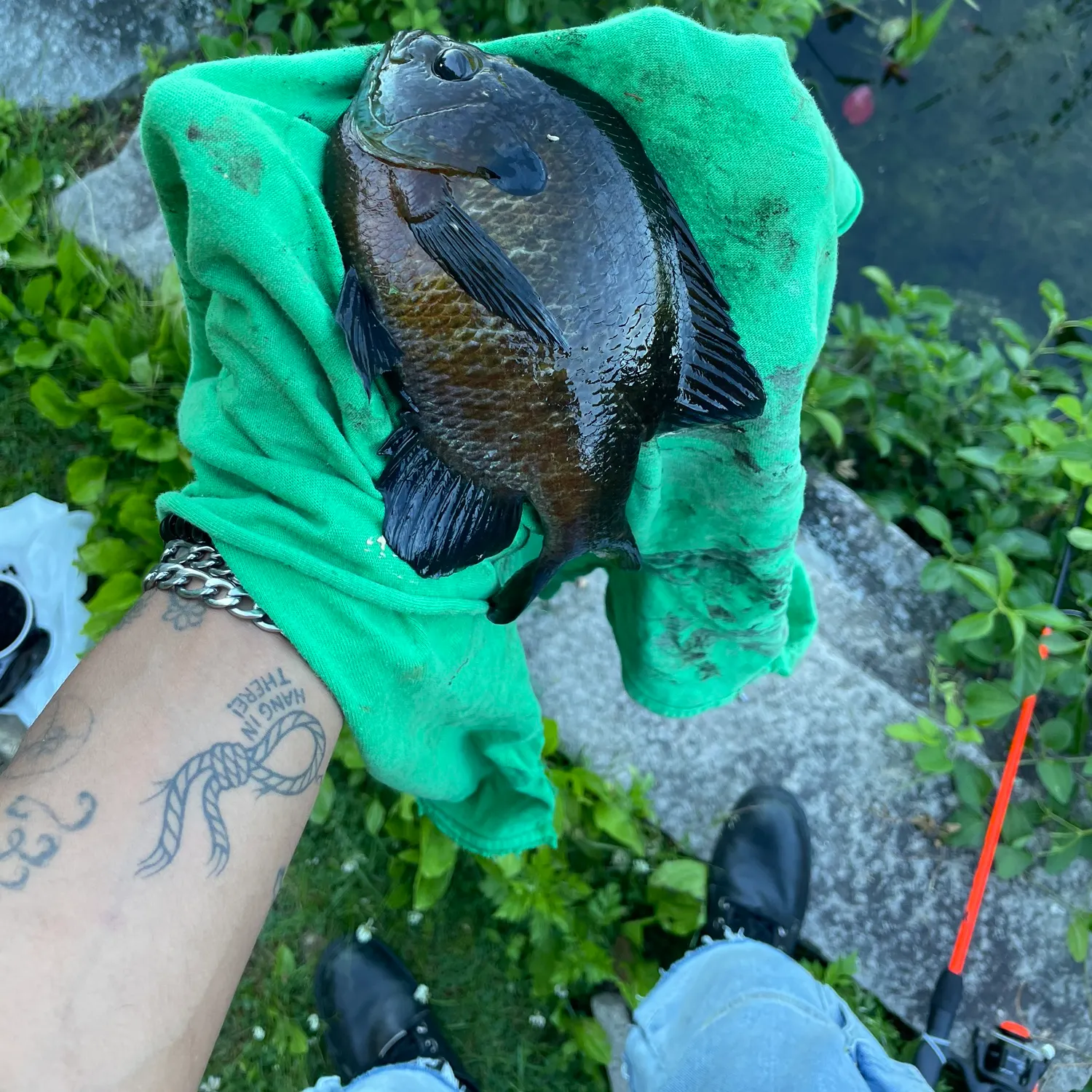 recently logged catches