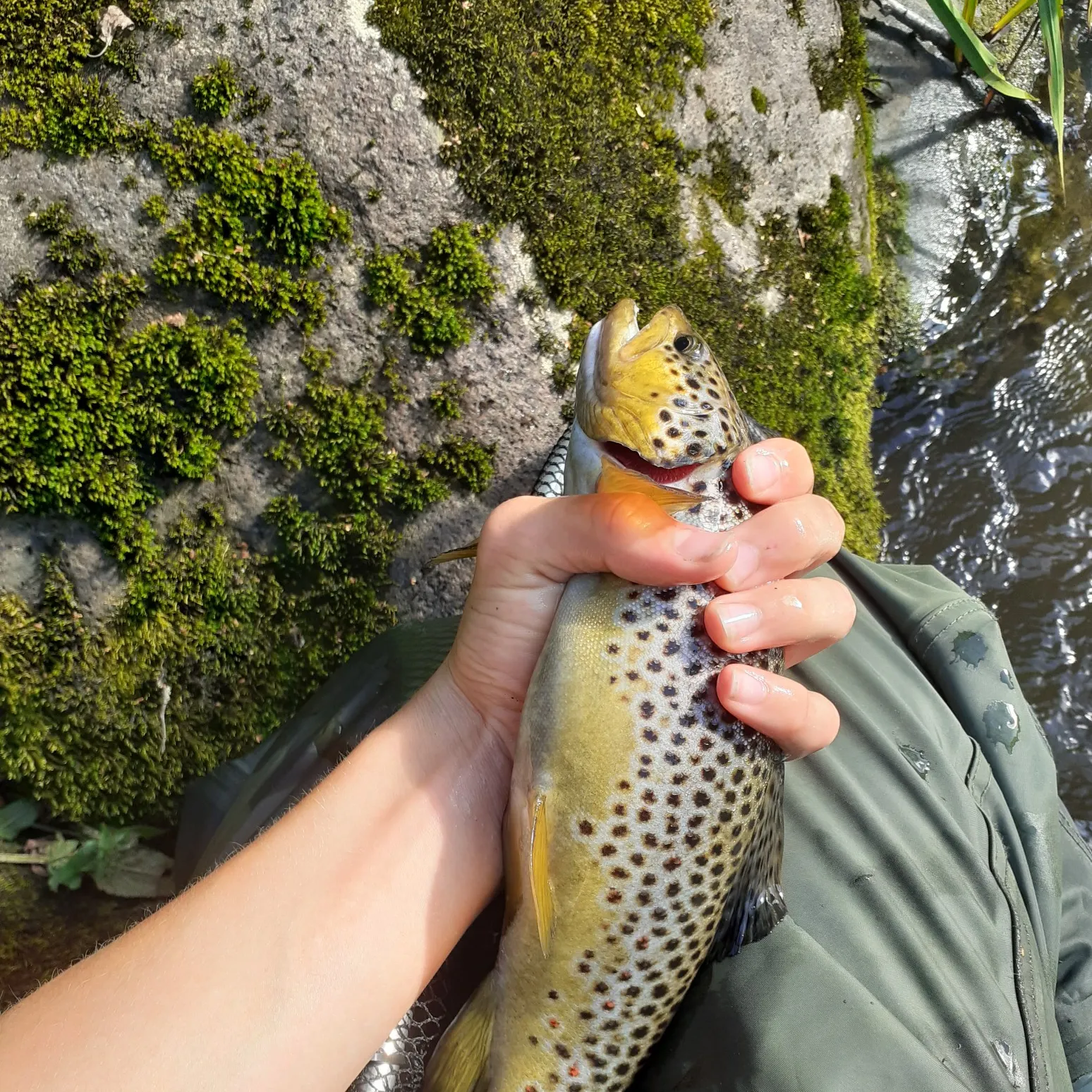 angler catch