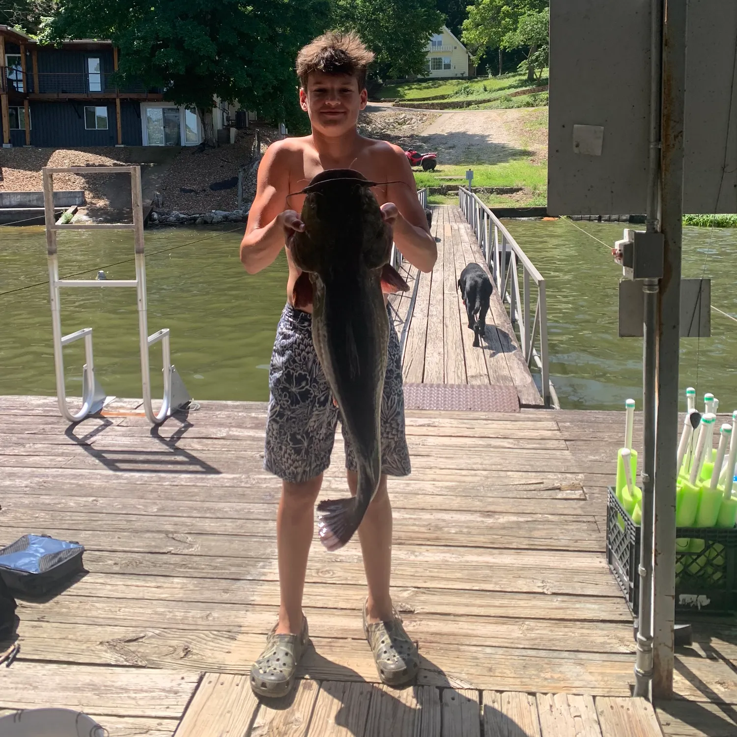 most liked catch image