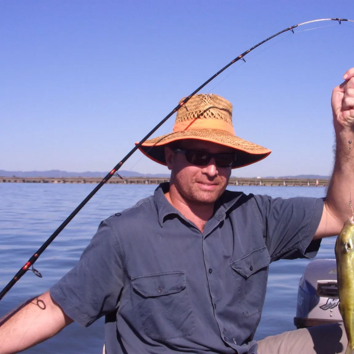 The most popular recent Half-smooth golden pufferfish catch on Fishbrain