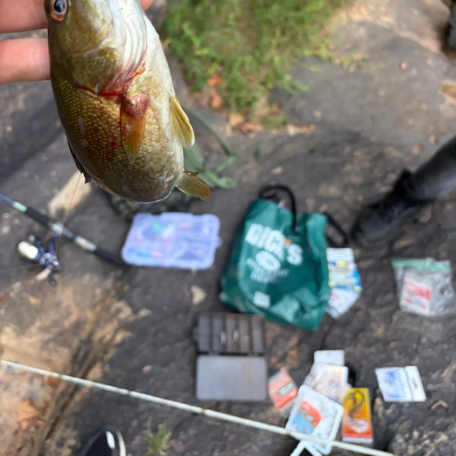 catch