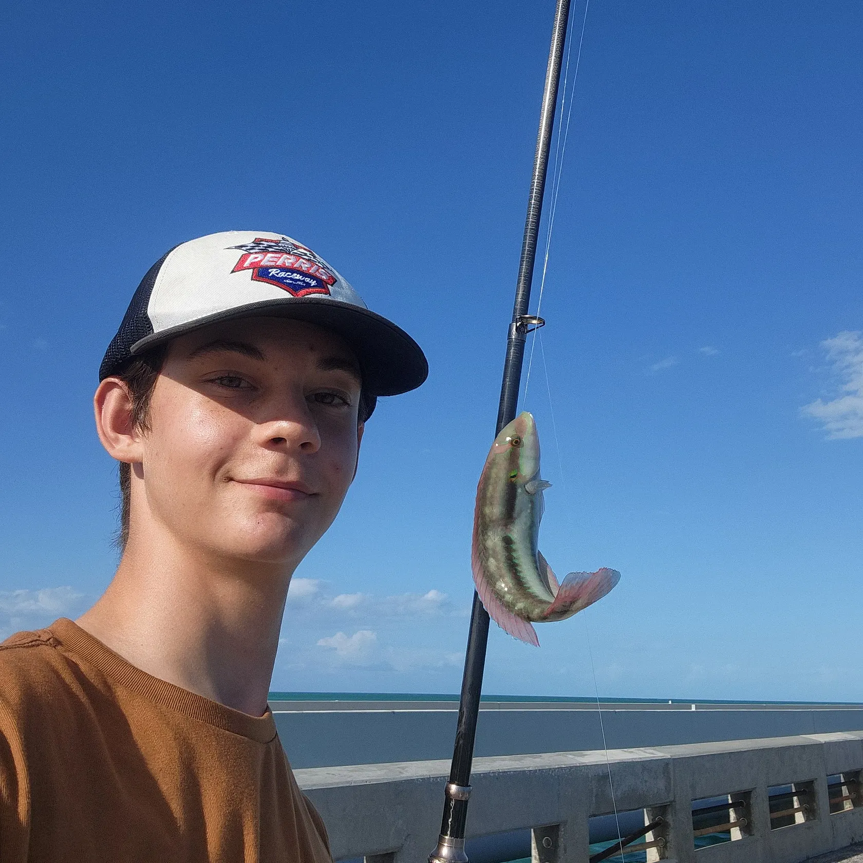 The most recent Yellowcheek wrasse catches on Fishbrain