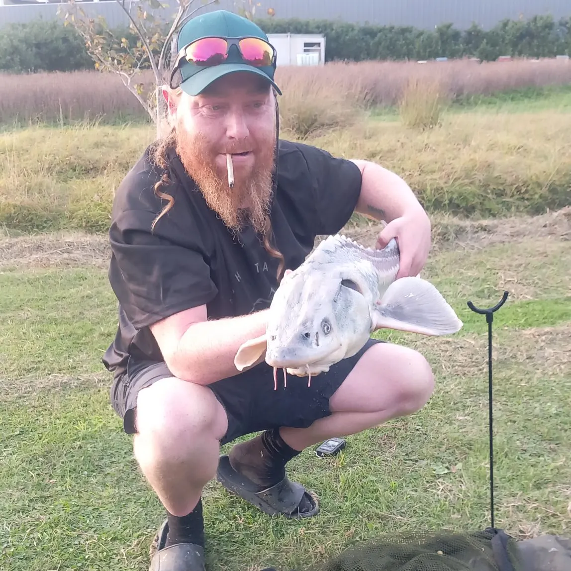 The most recent White sturgeon catches on Fishbrain